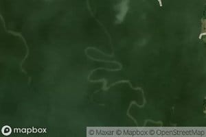 Estero Tripa de Pollo