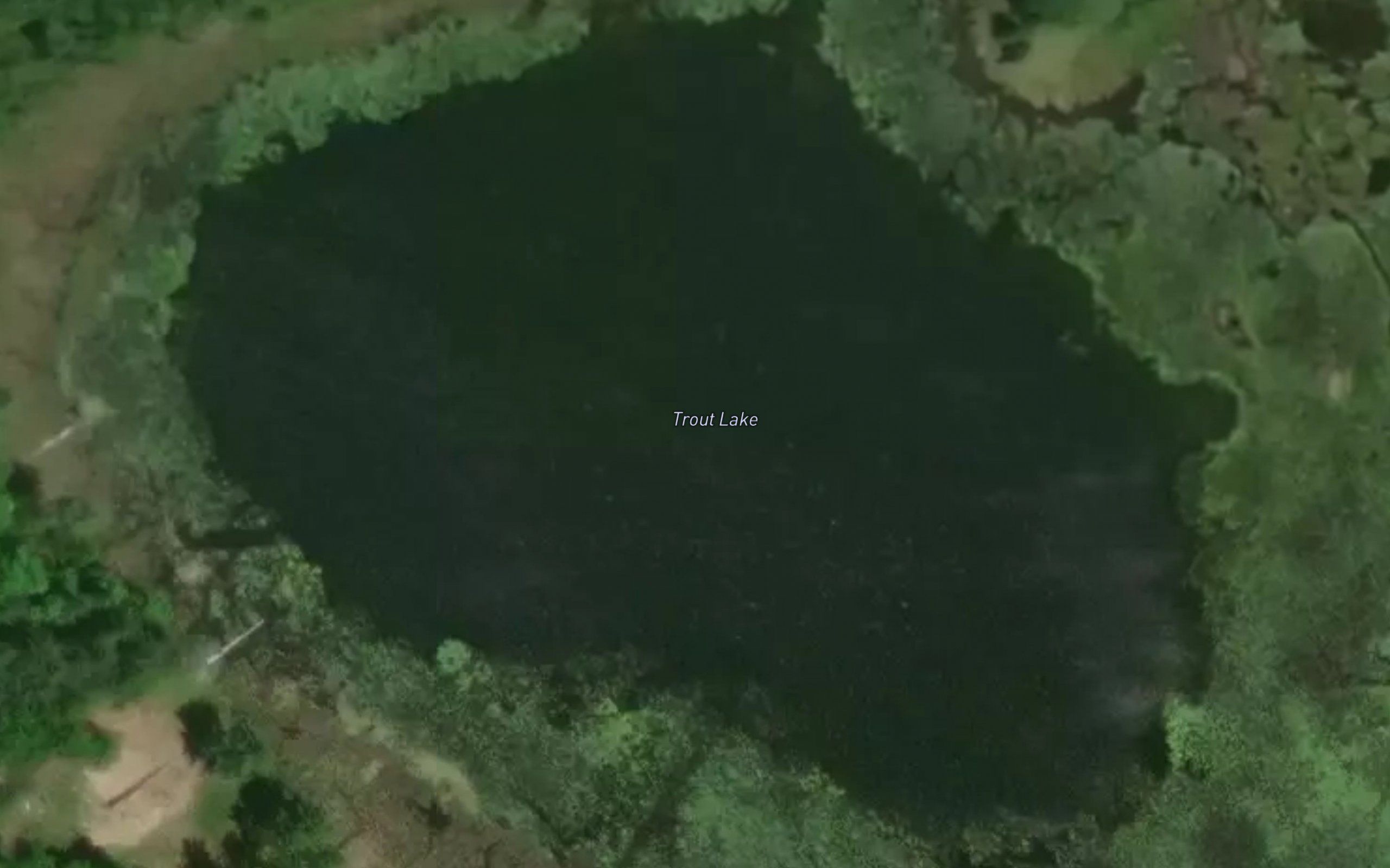 Trout Lake