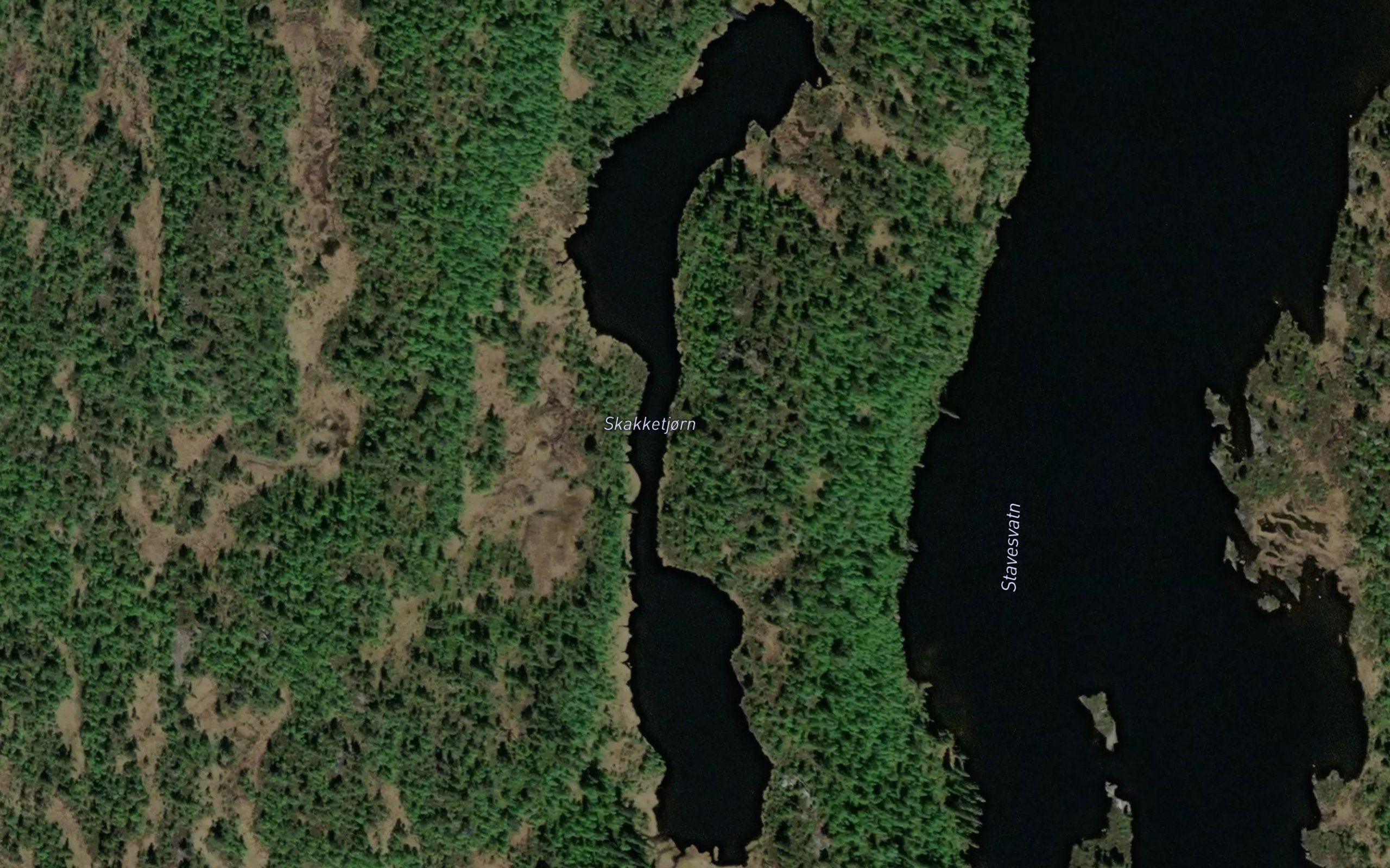 Skakketjorn