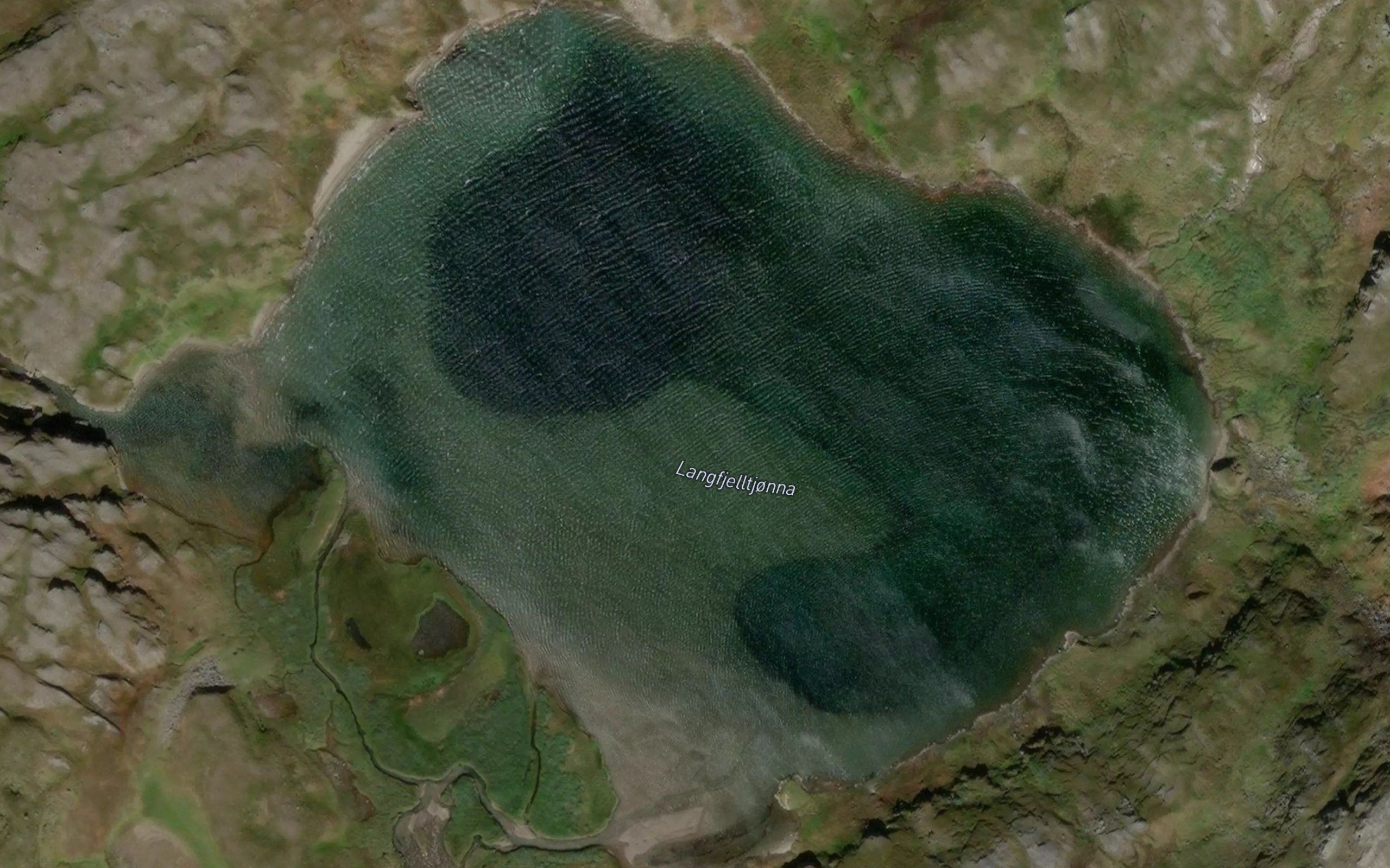 Langfjelltjonna