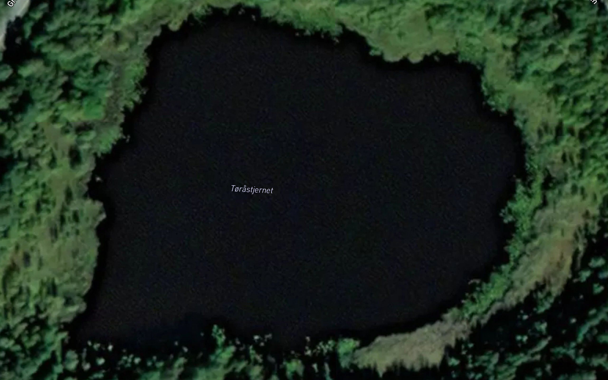 Torastjernet
