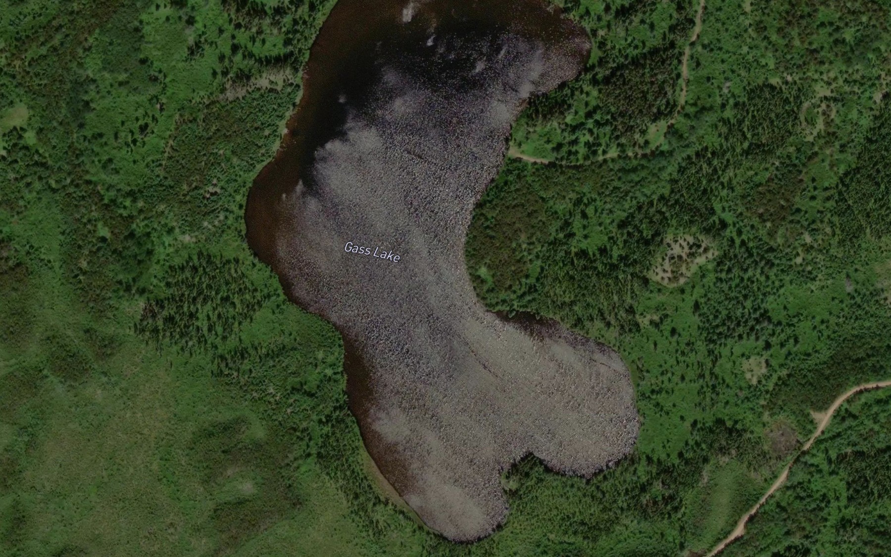 Satellite map of the Gass Lake