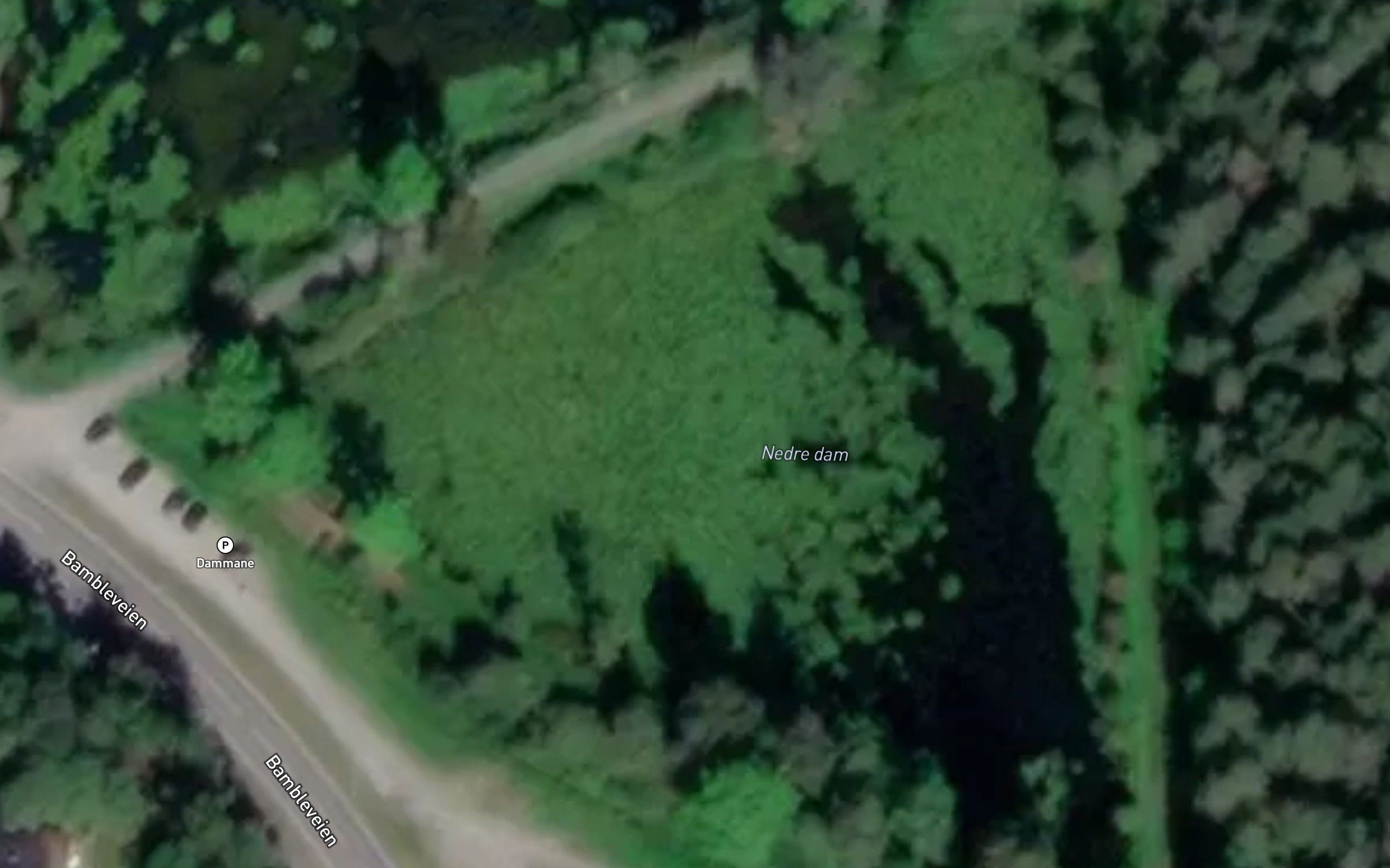 Nedre dam