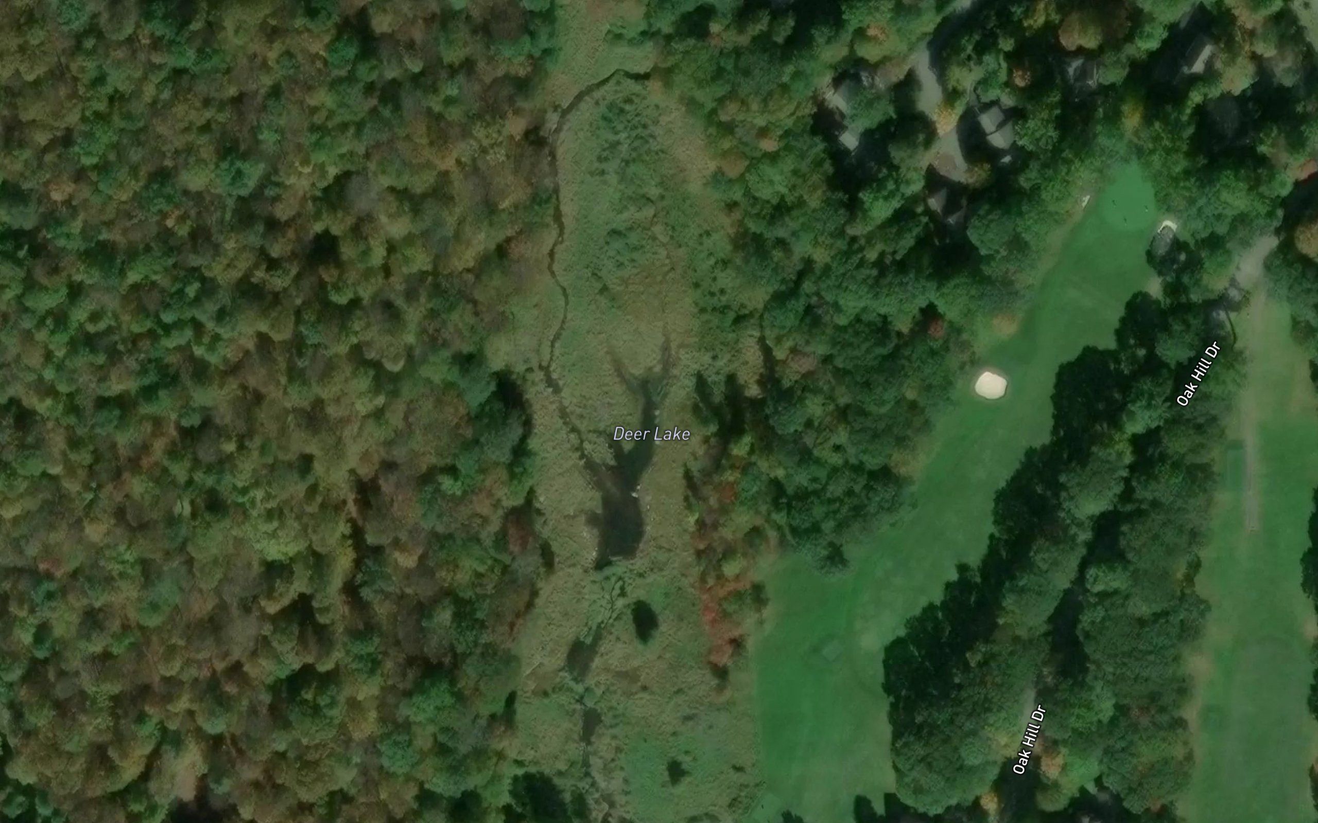 Deer Lake