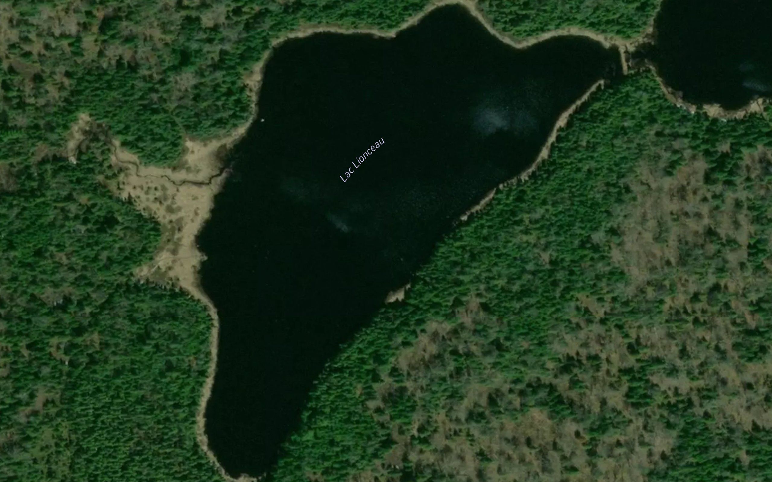 Lac Lionceau
