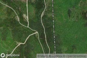 West Branch Abbott Brook