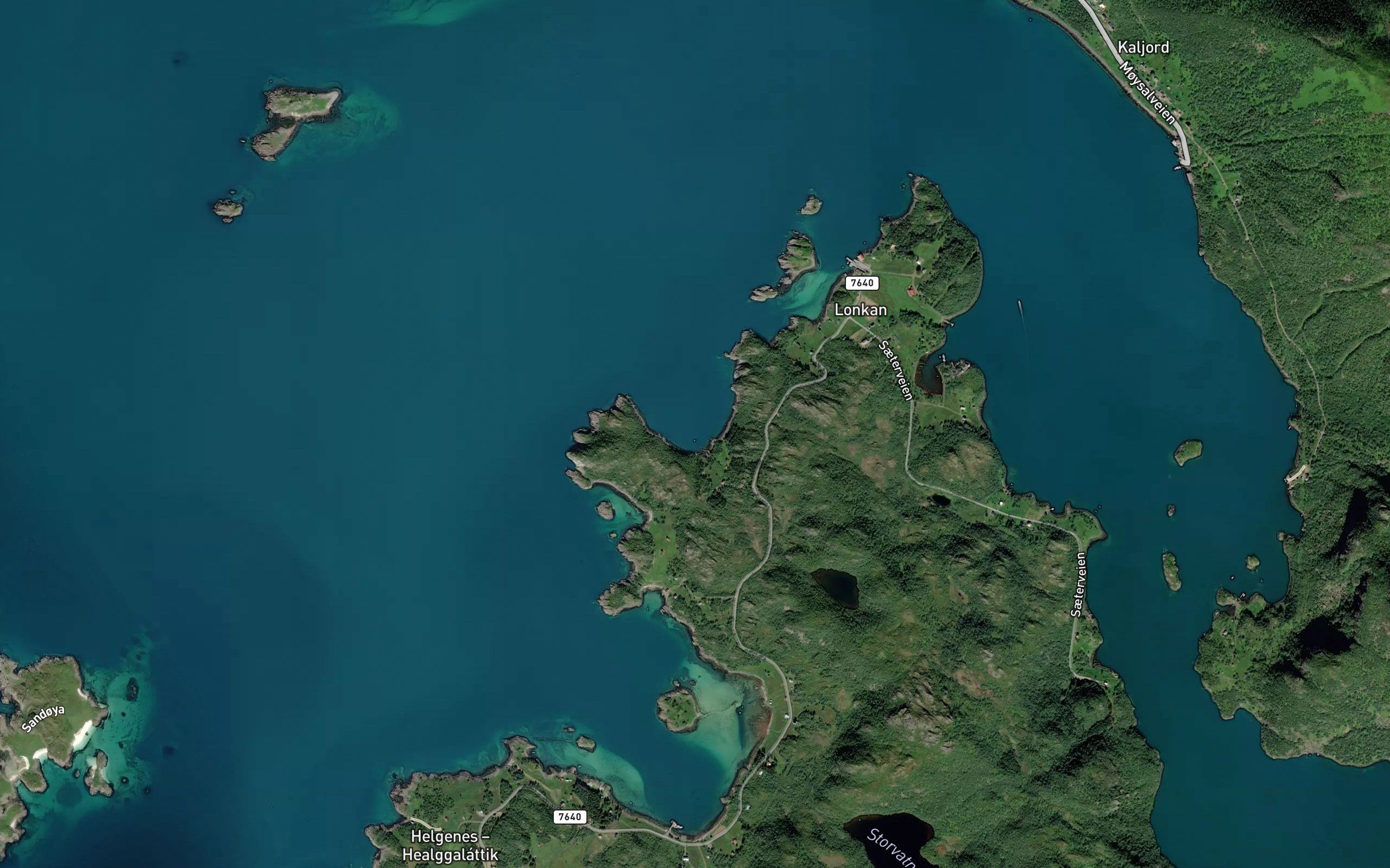 Ramnklubbvika