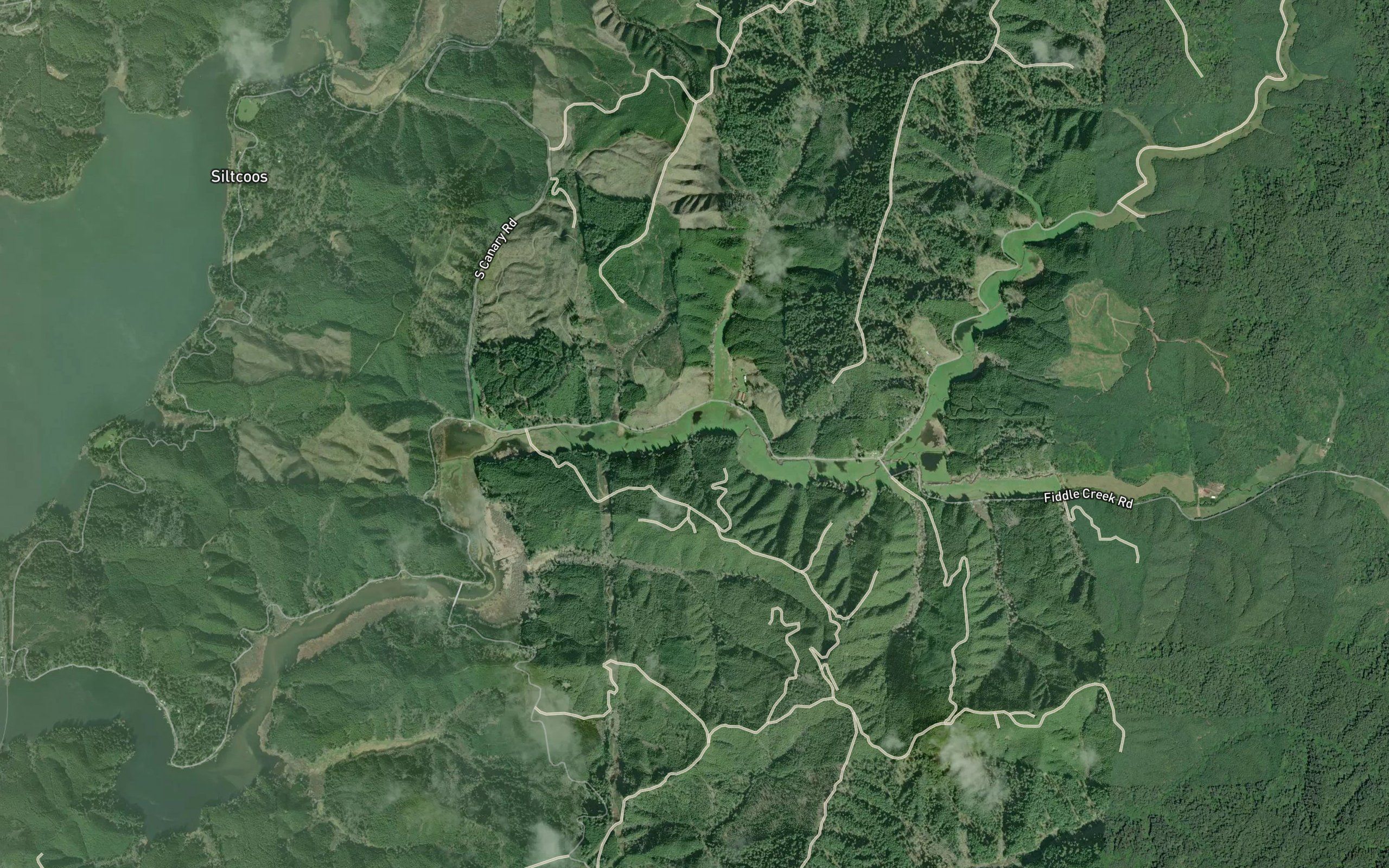 Alder Creek