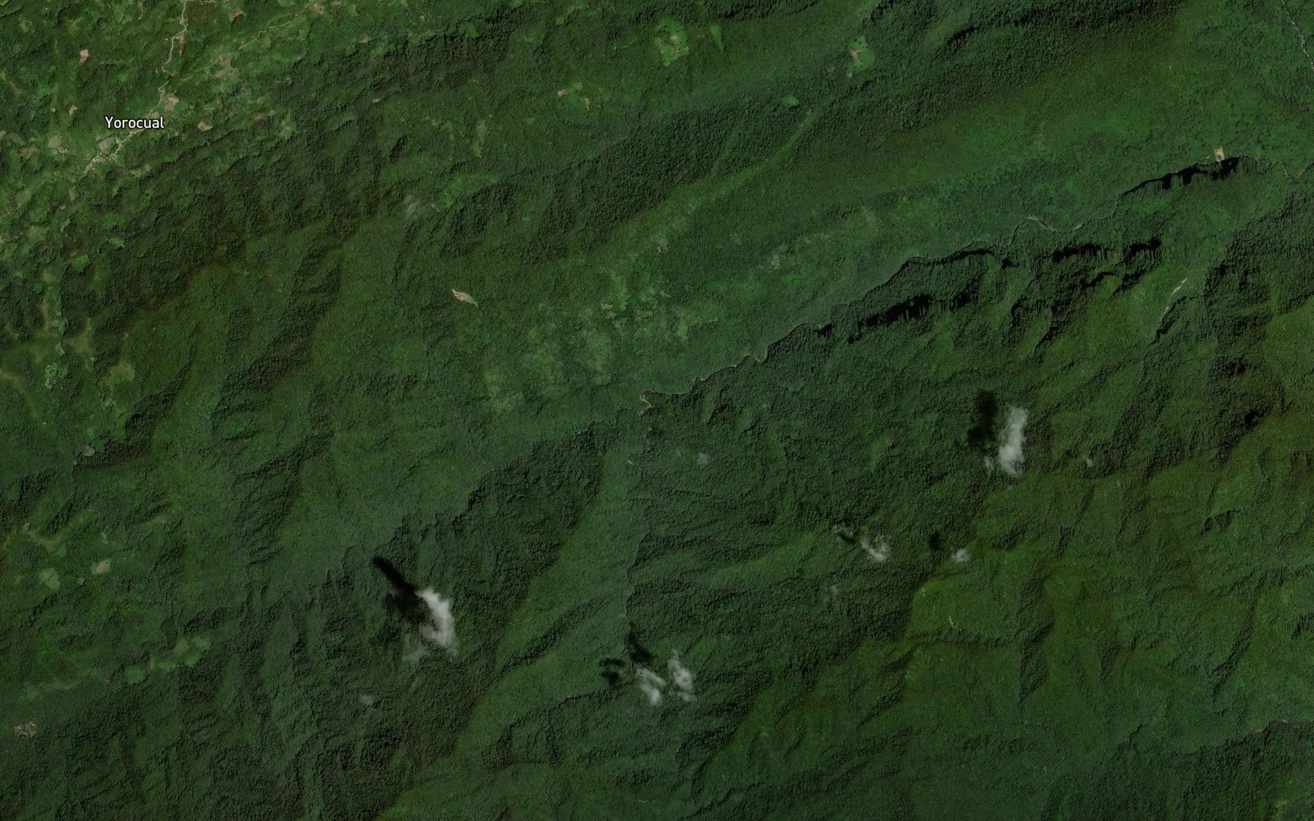 Quebrada de Guasdualito