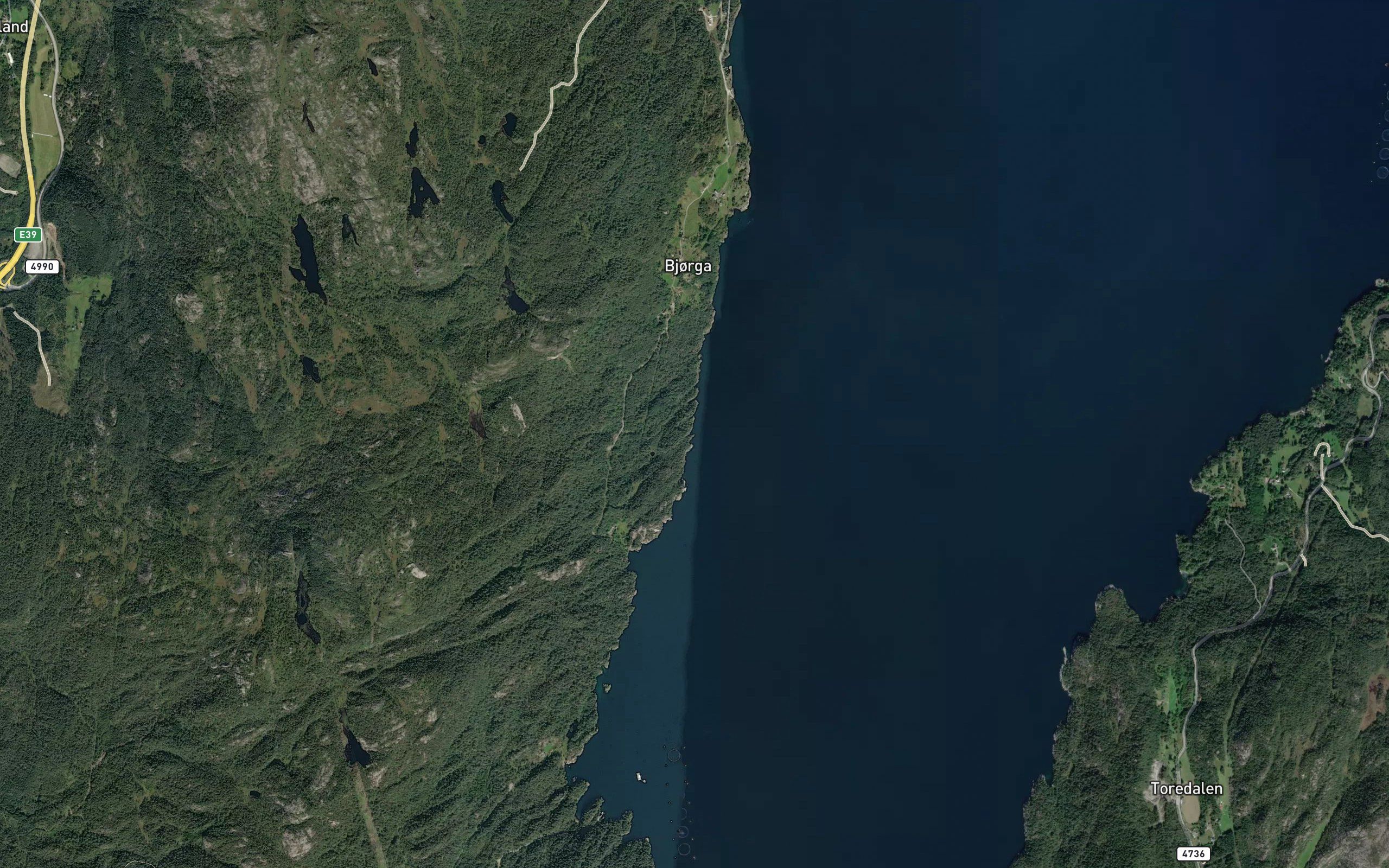 Tommervika
