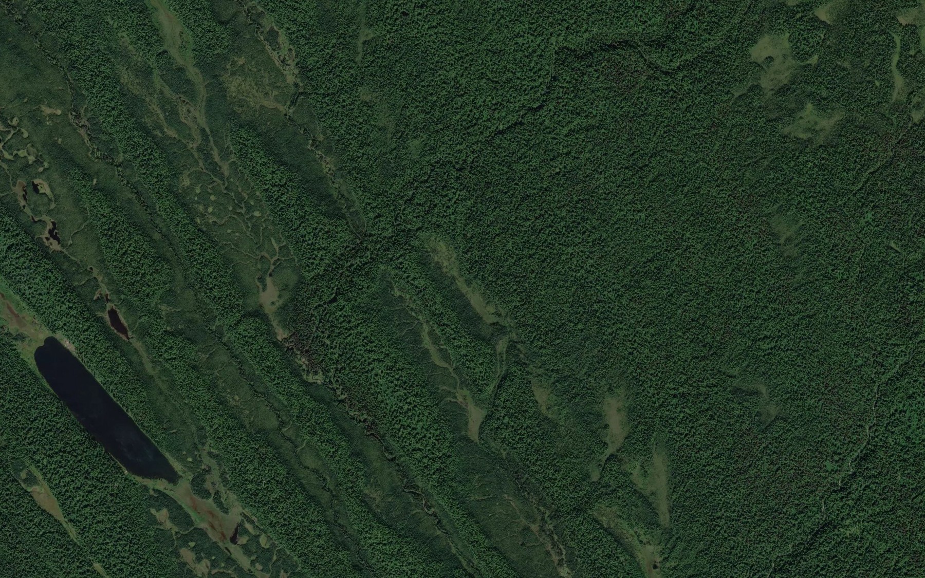 Satellite map of the Shovel Lake