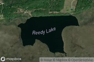 Reedy Lake