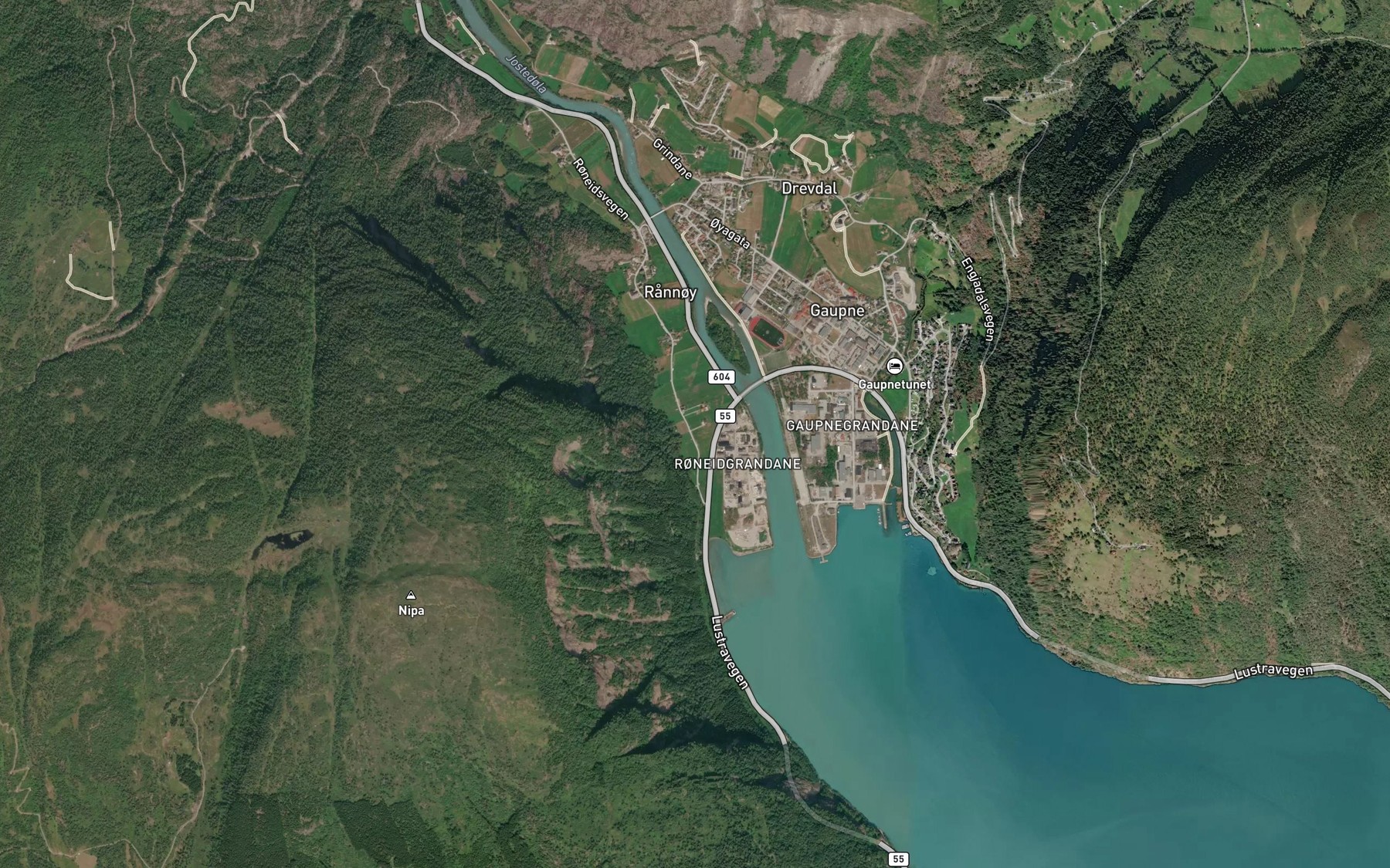 Satellite map of the Jostedalselvi