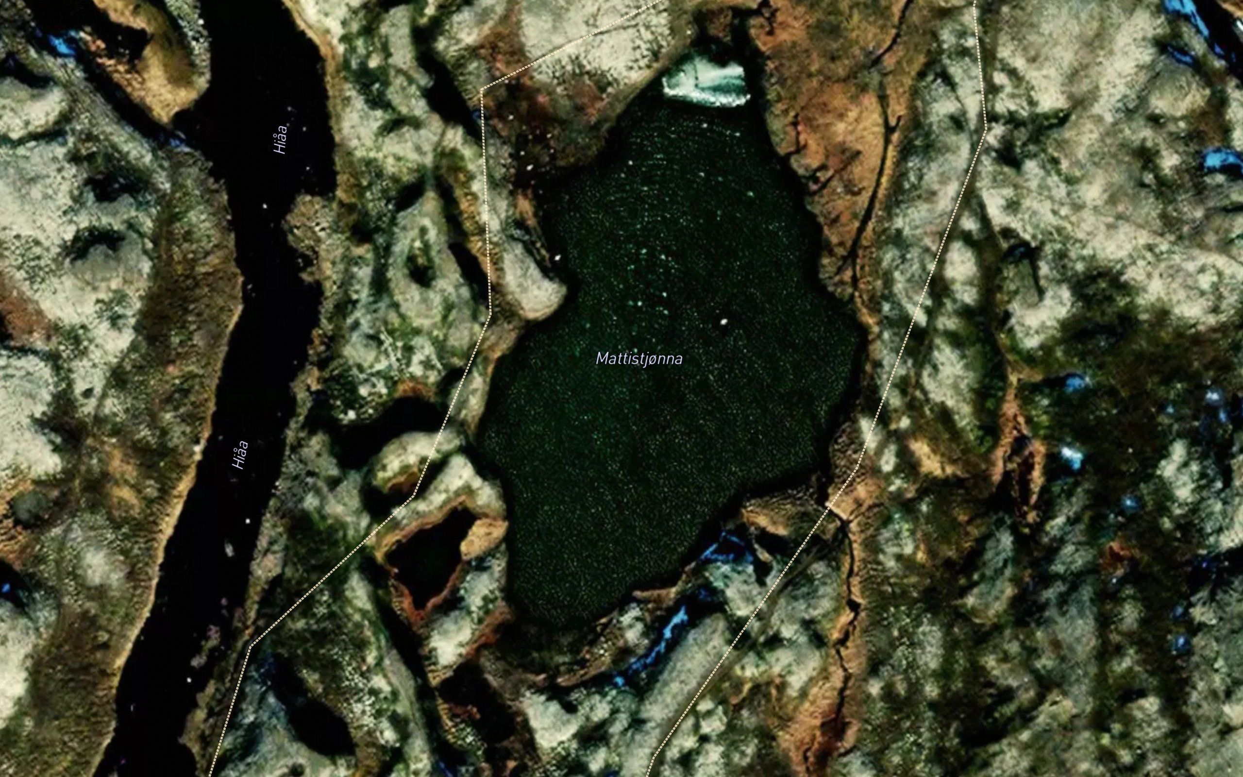 Mattistjorna