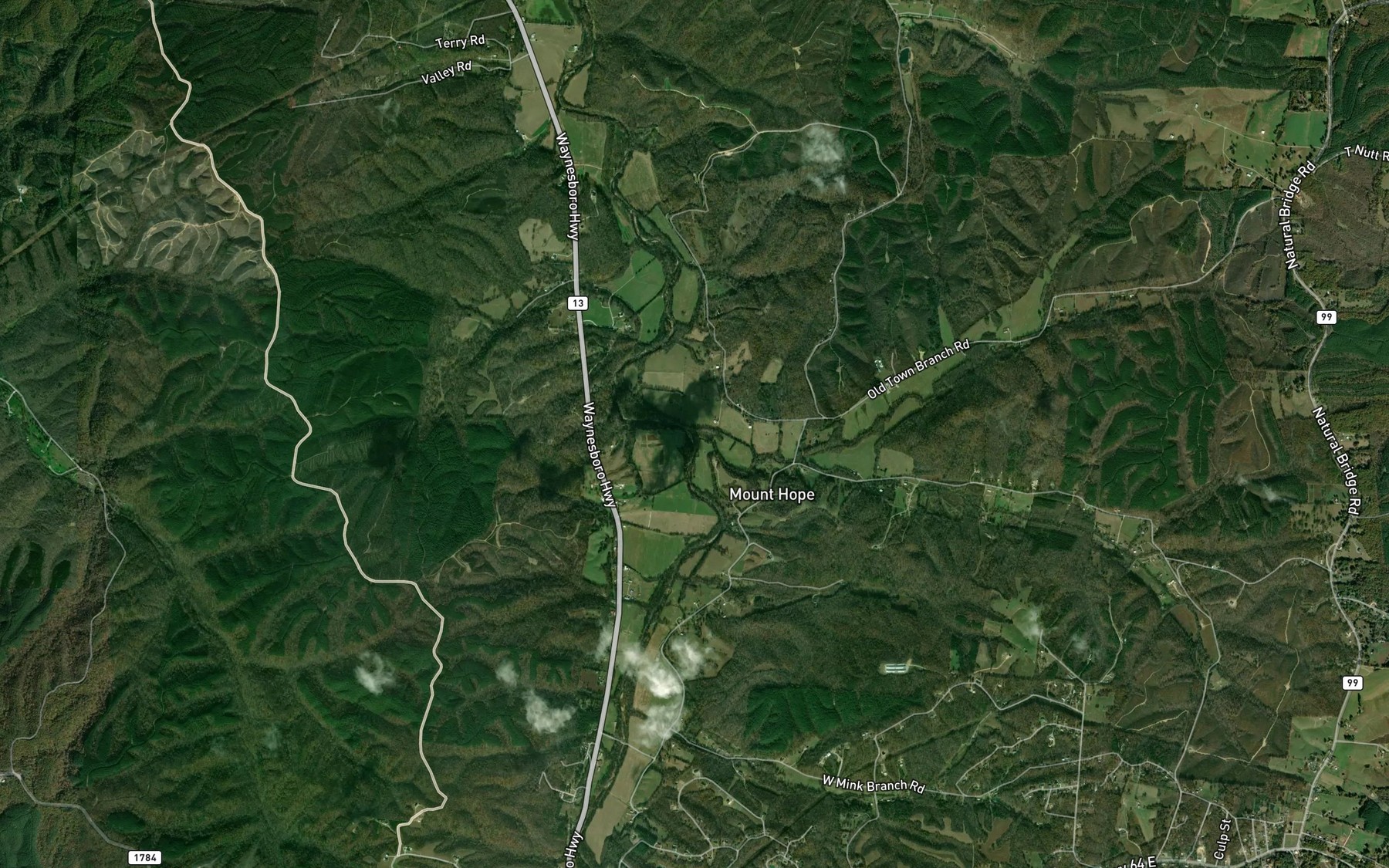 Satellite map of the Simmons Branch