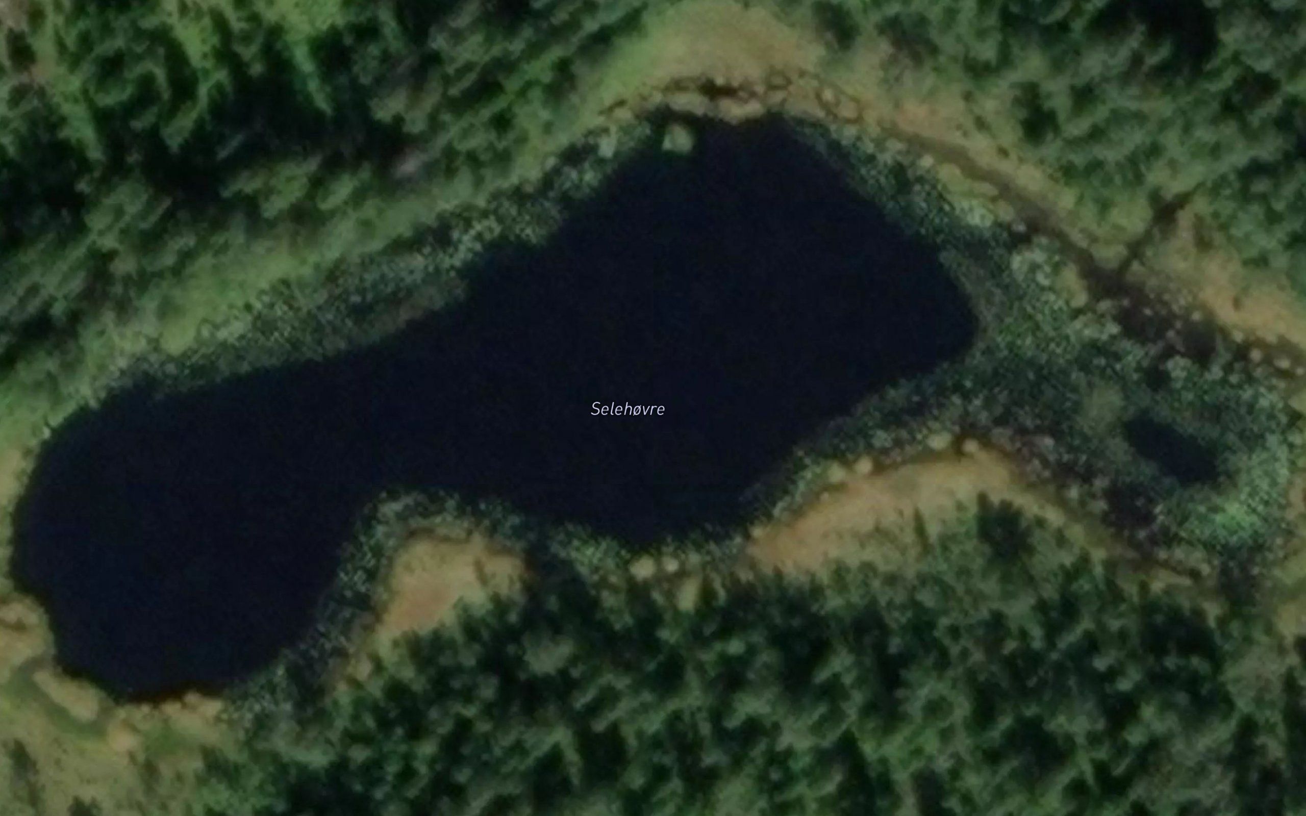 Selahovret