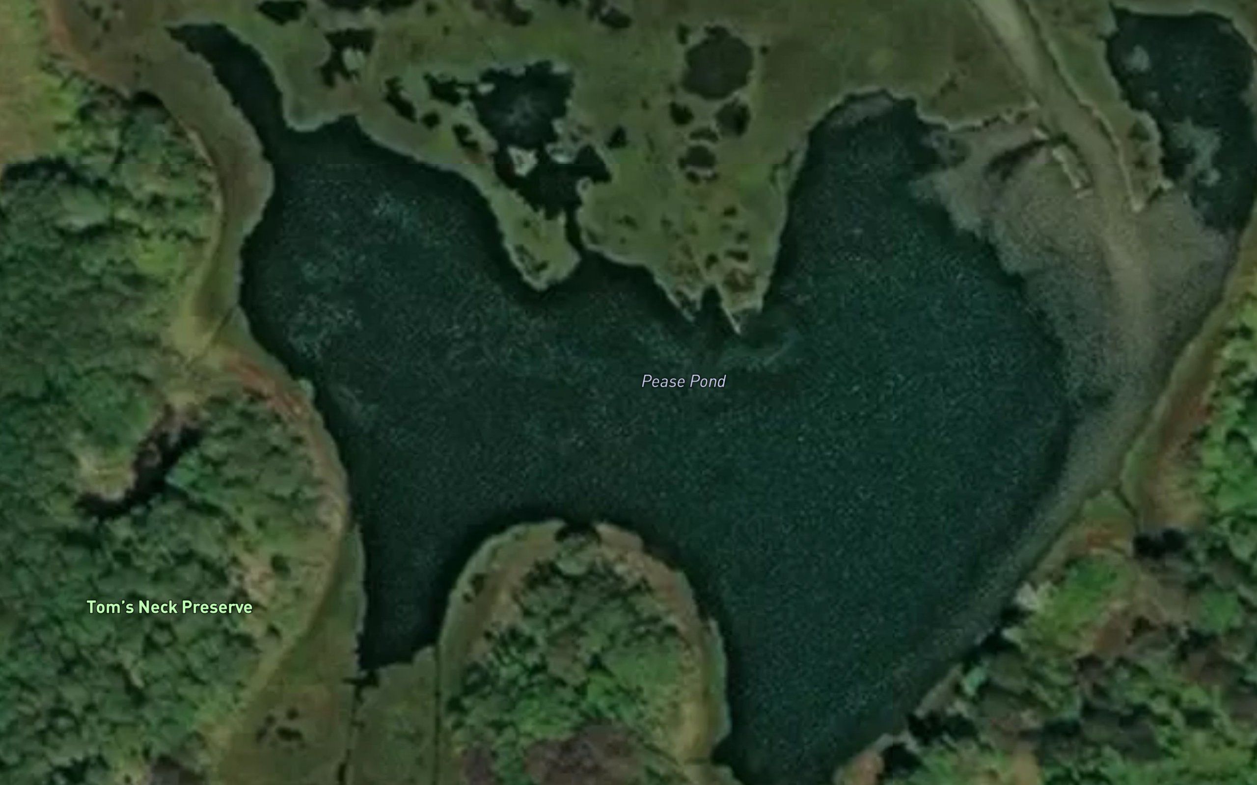 Pease Pond