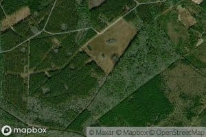 Pine Savannah Branch