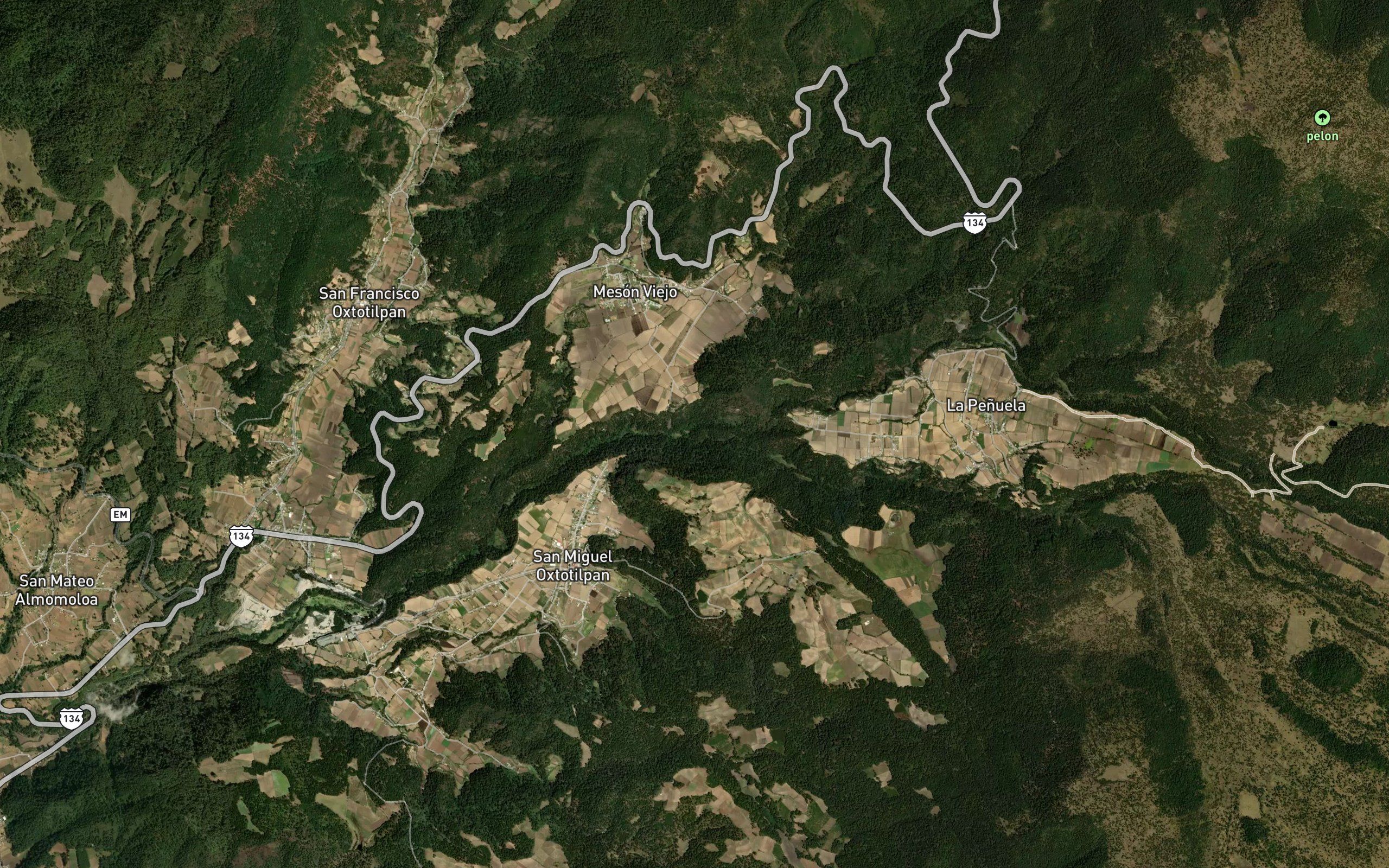 Pichontagui