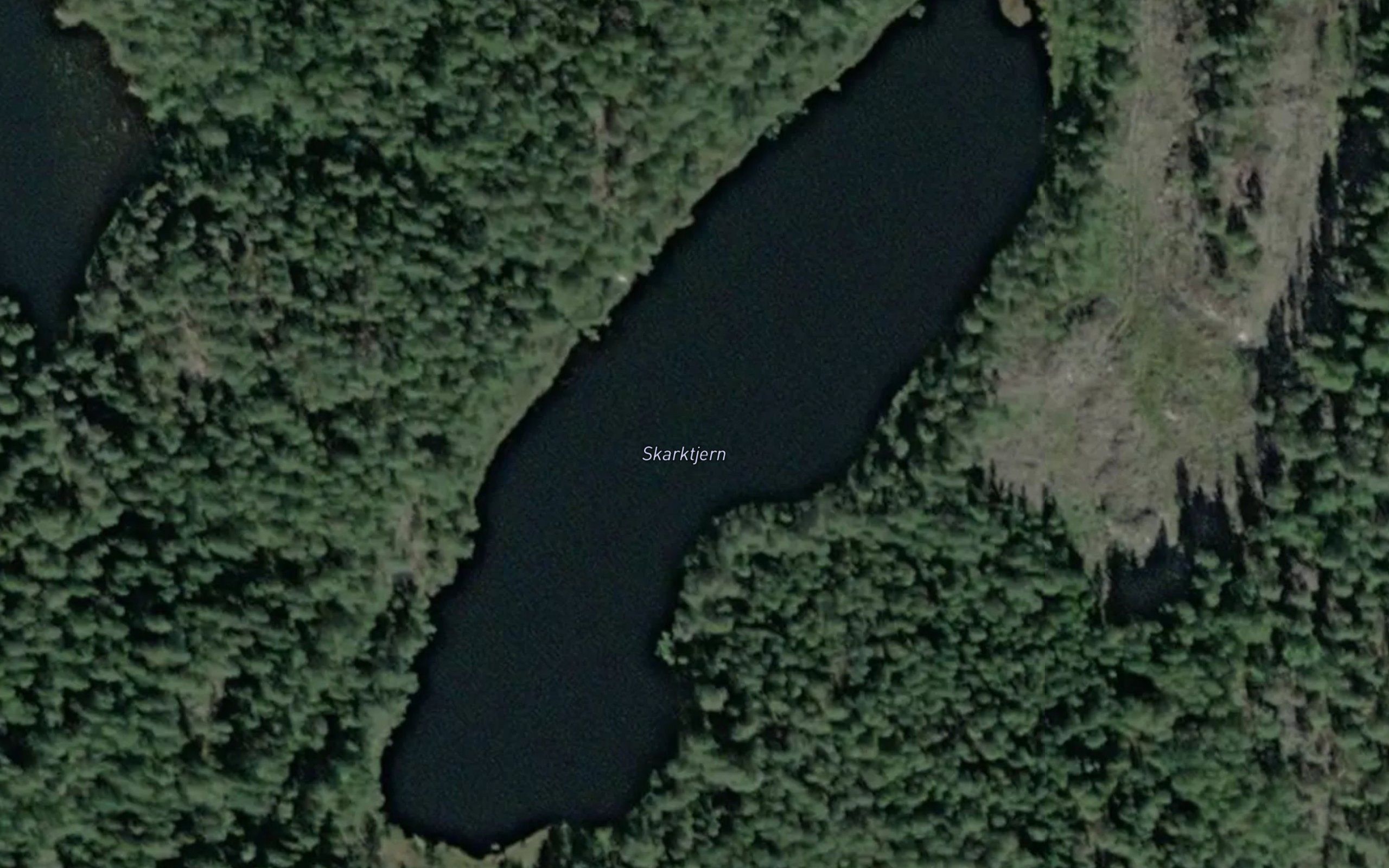 Skarktjern