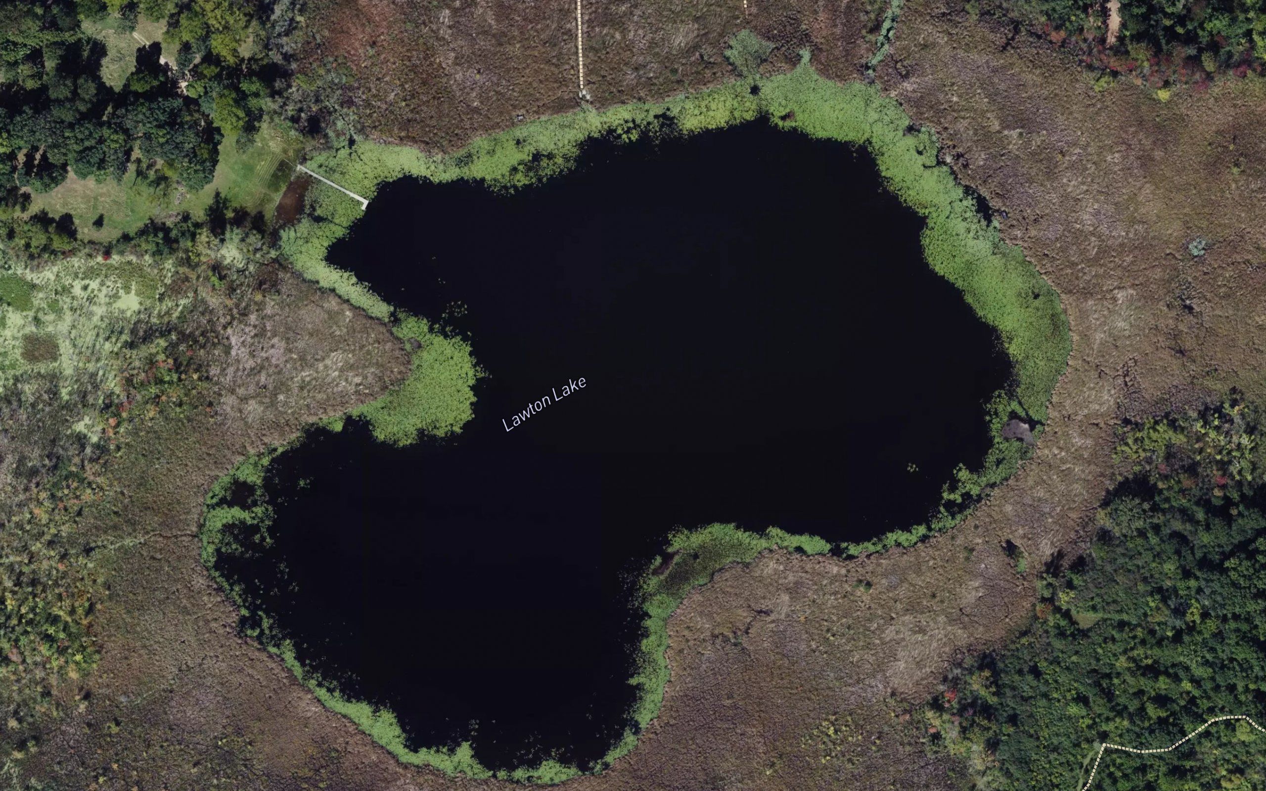 Lawton Lake