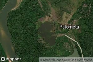 Lago Palometa