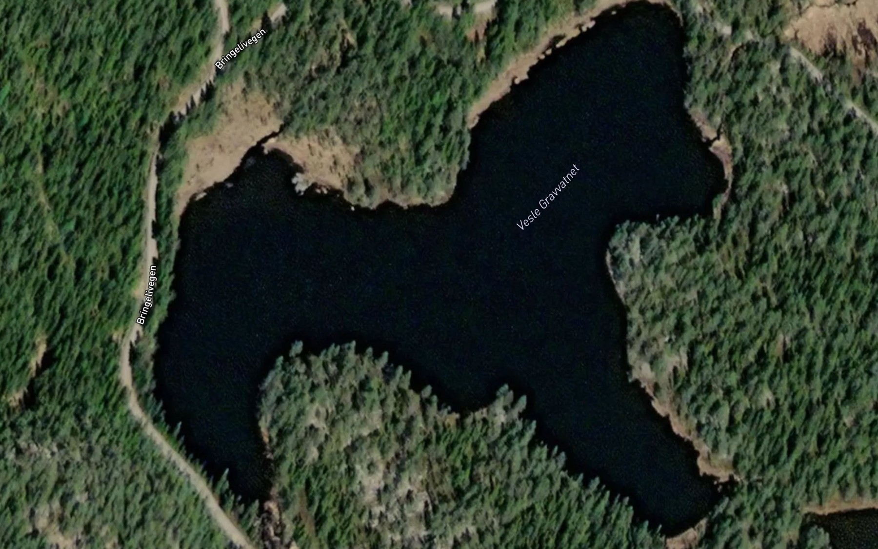 Satellite map of the Gravvatnet,vle