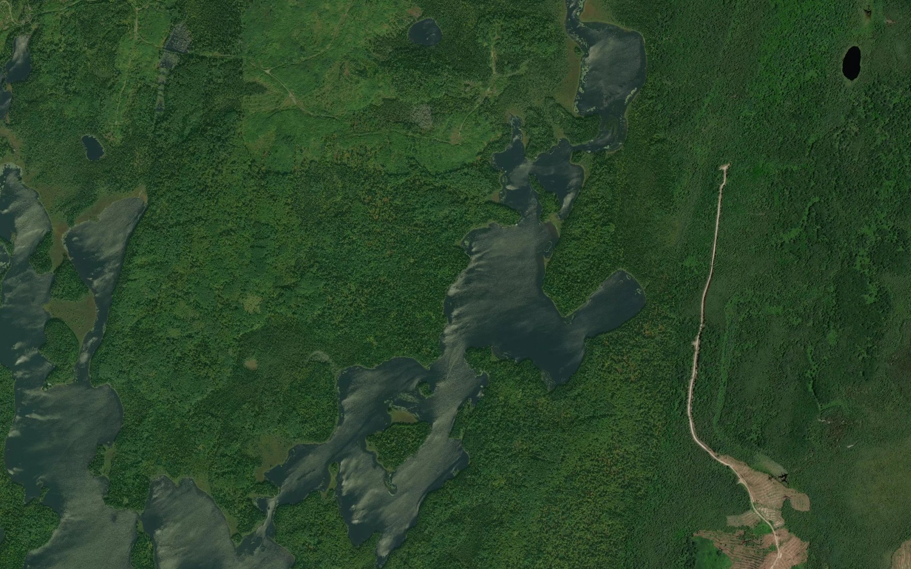 Satellite map of the D'Arcy Lake