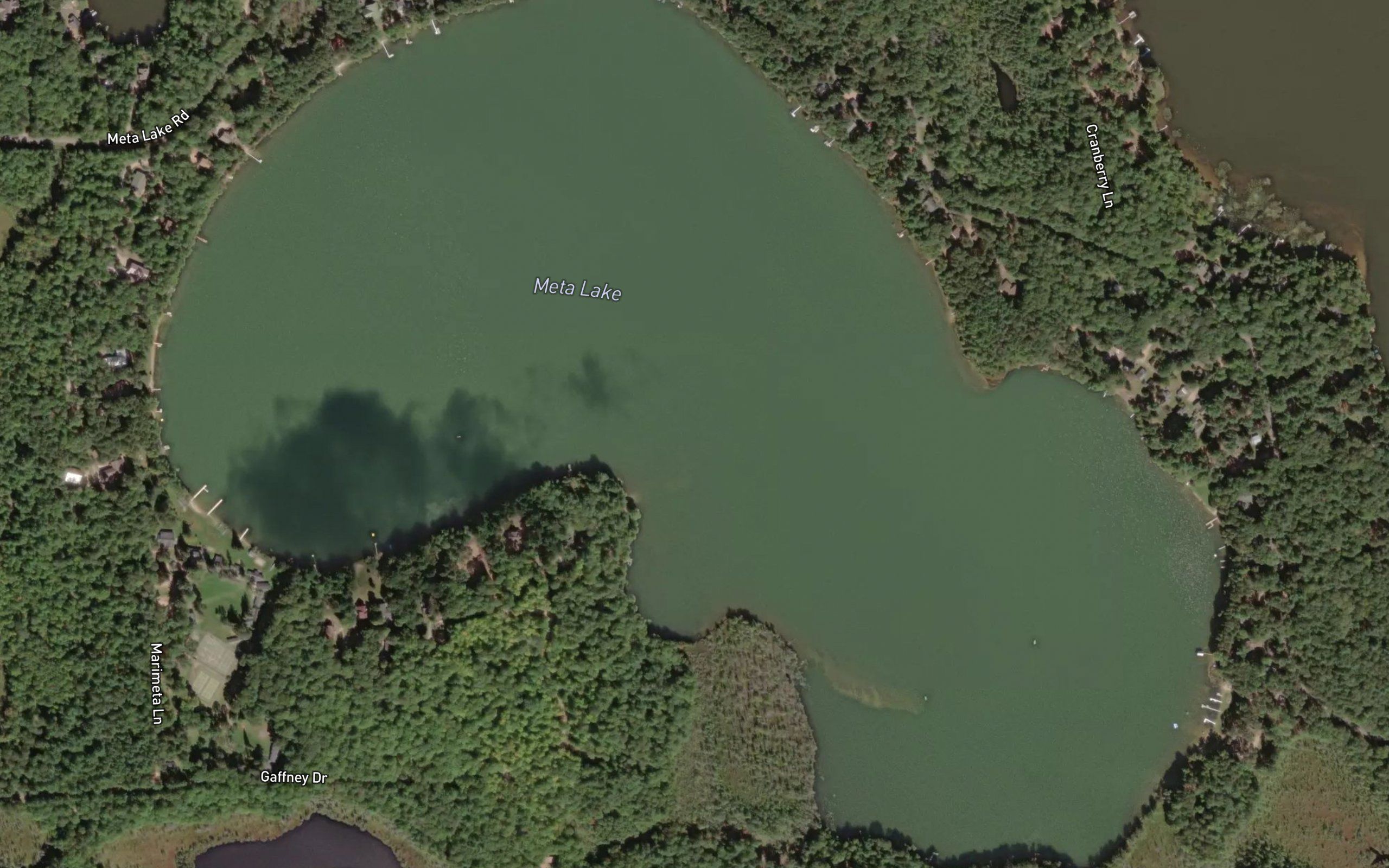 Meta Lake
