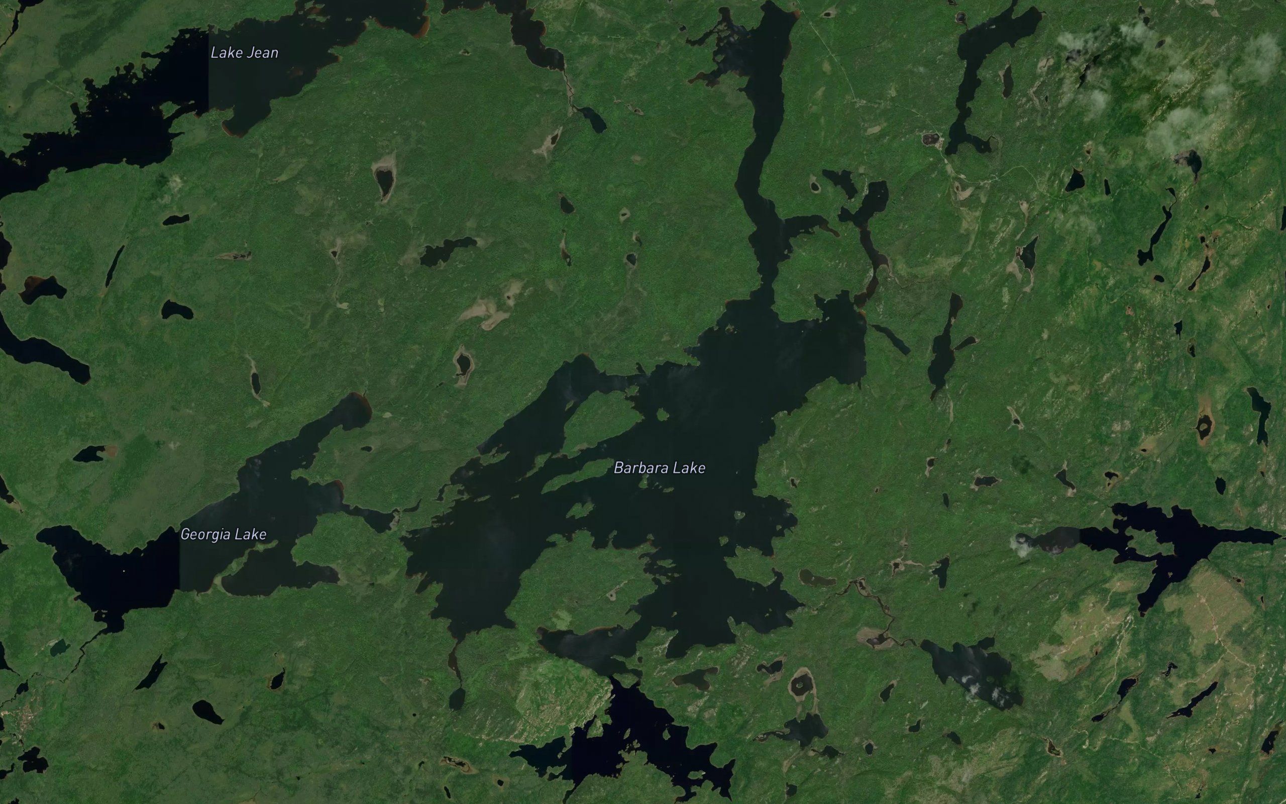 Barbara Lake