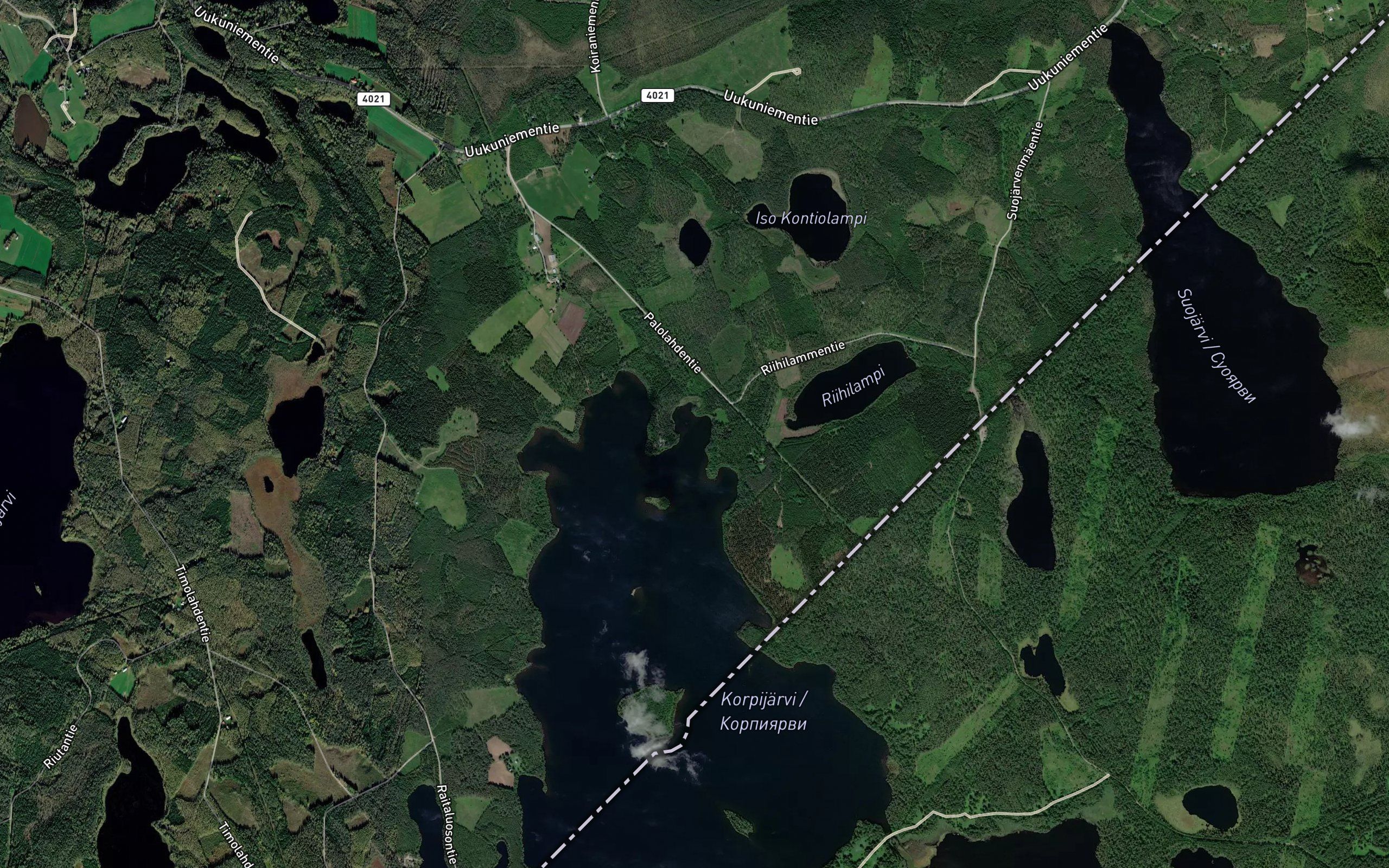 Palolahti