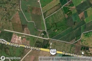 Naranjos