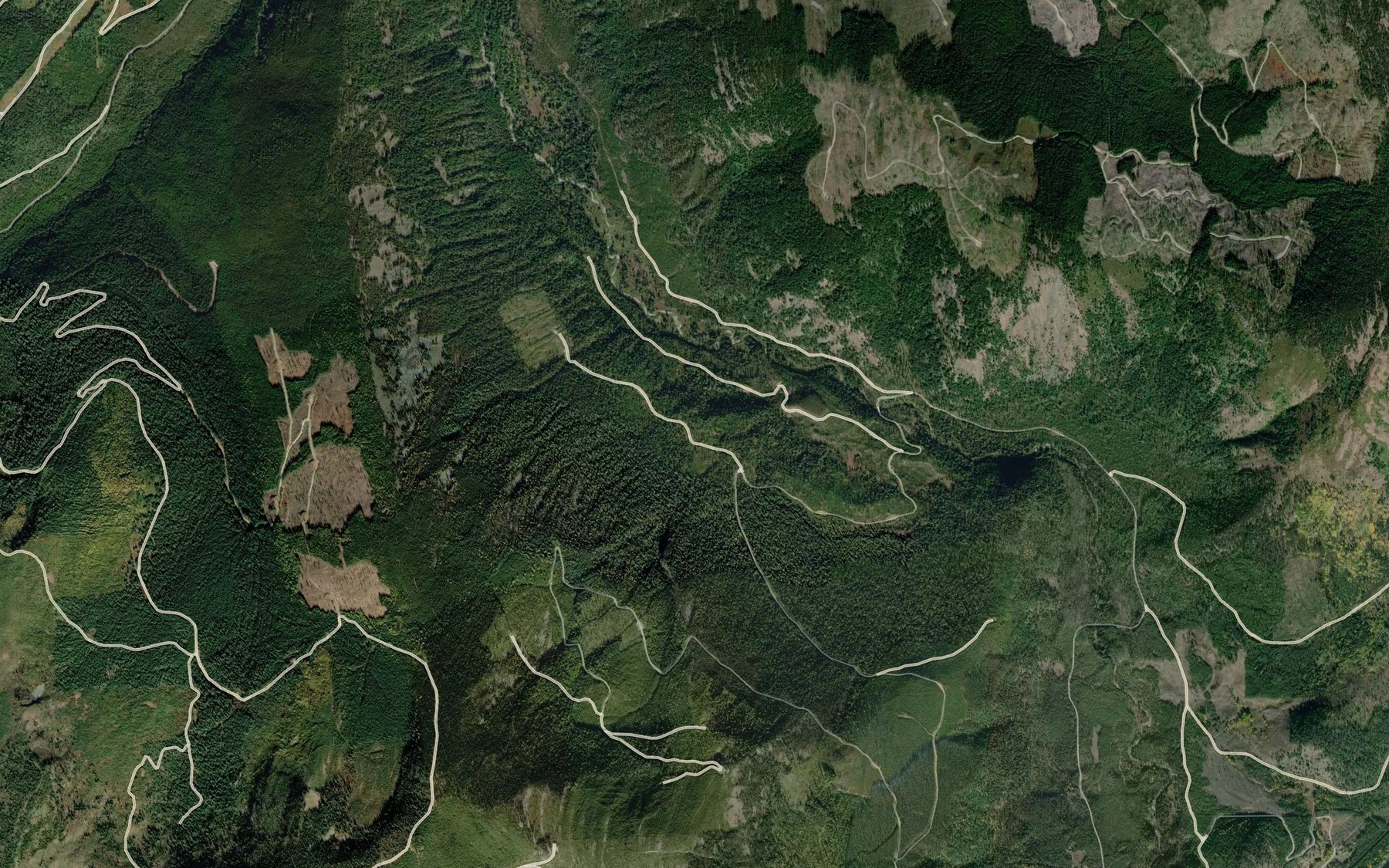 Satellite map of the Tally Creek