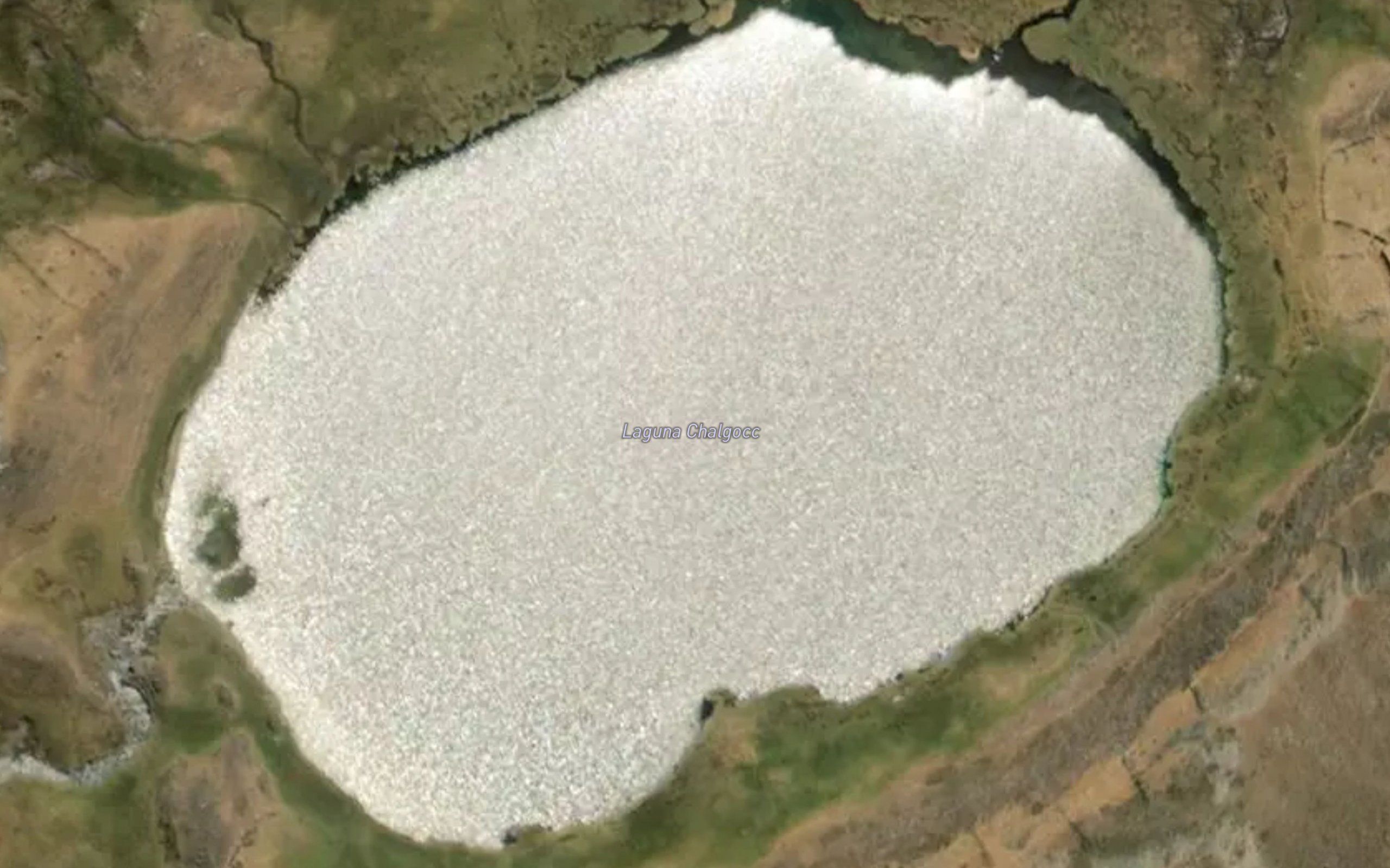 Laguna Chalgocc