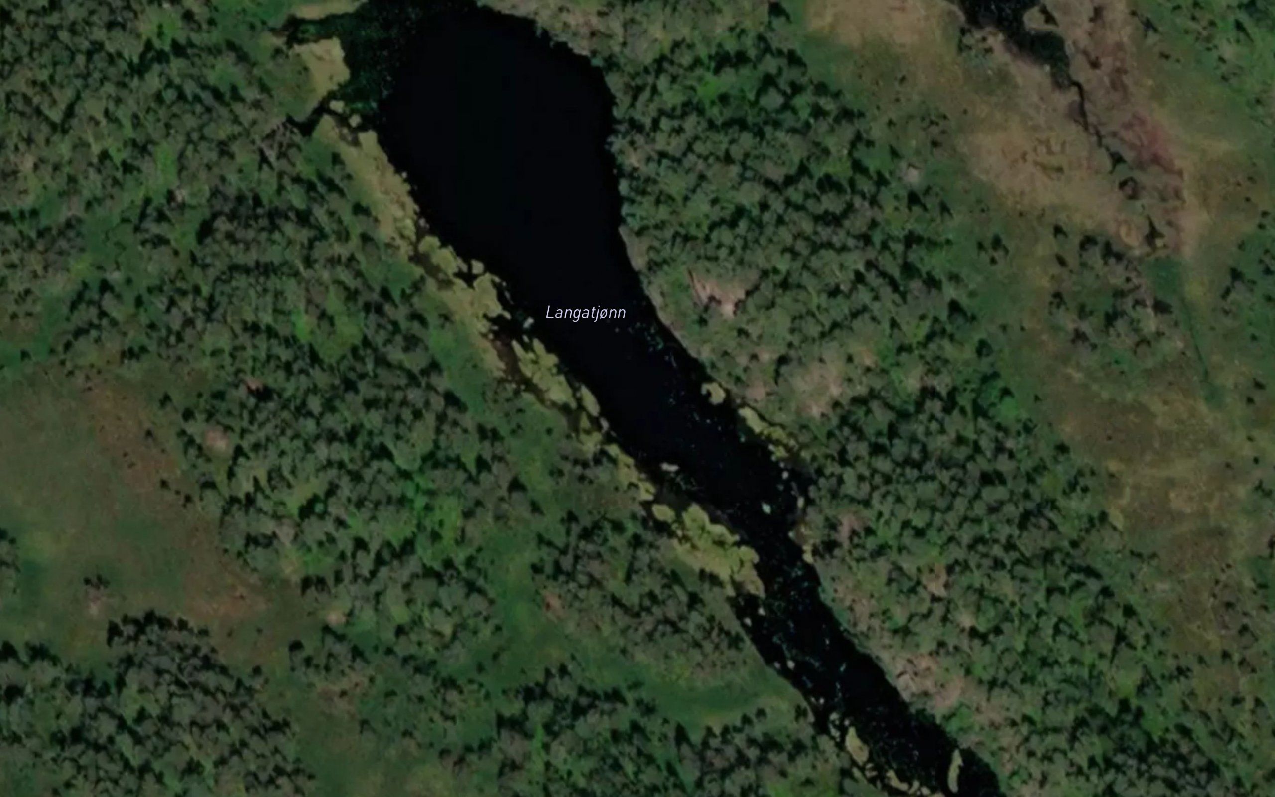 Langatjonn