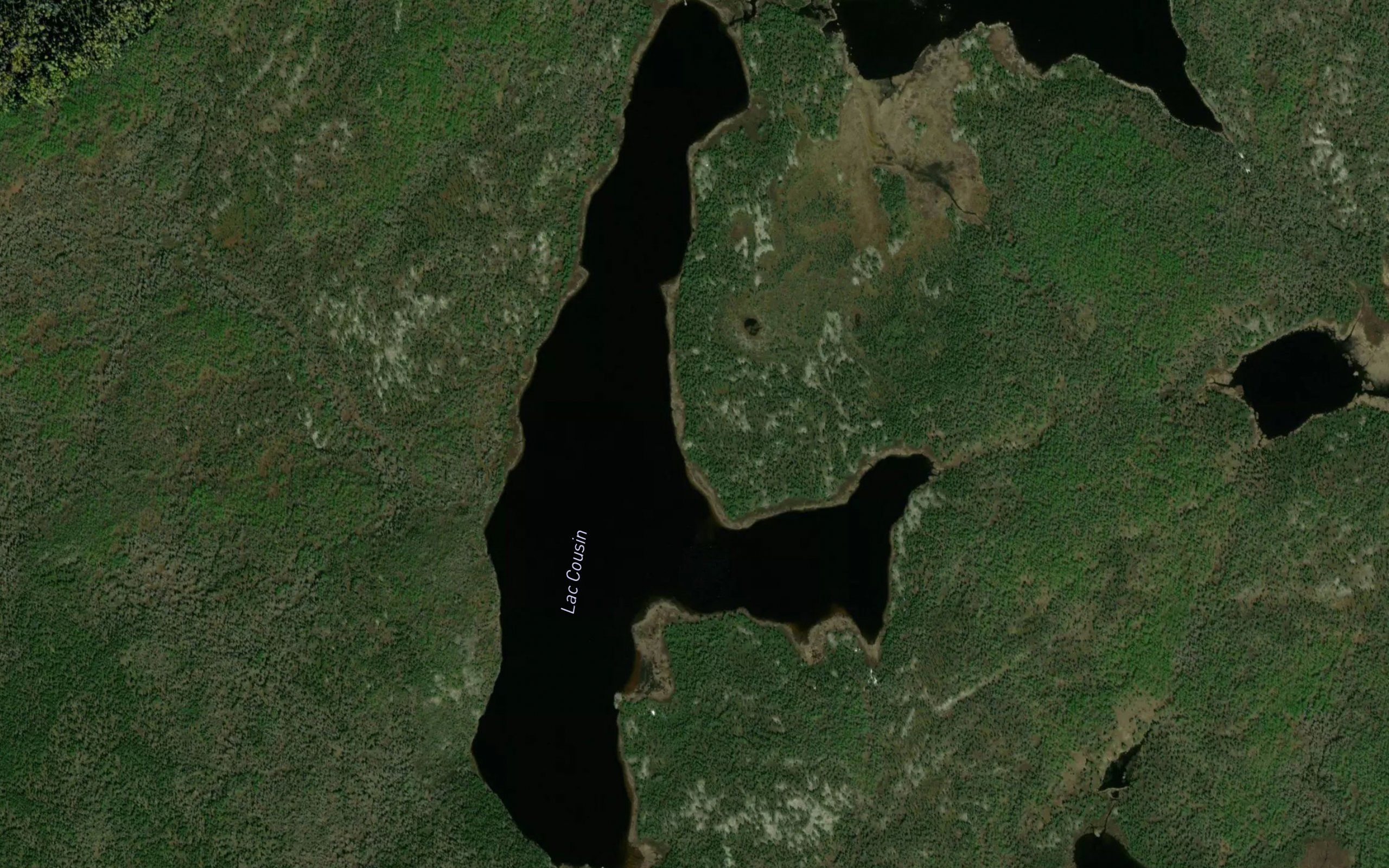 Lac Cousin