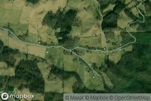 Upper Nidifer Branch