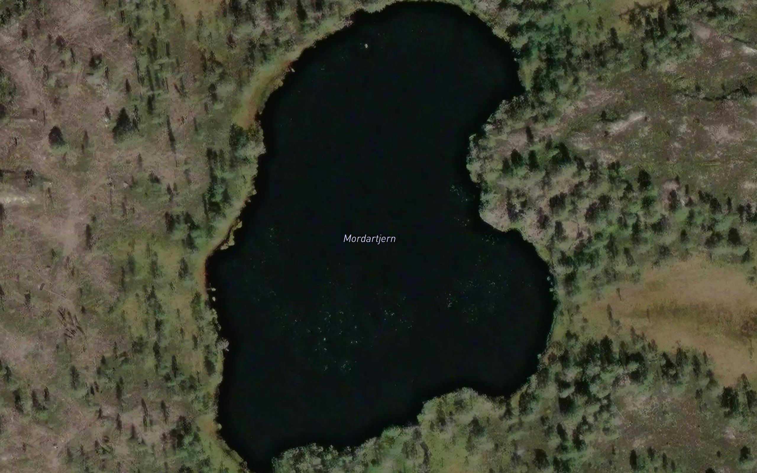 Mordartjern