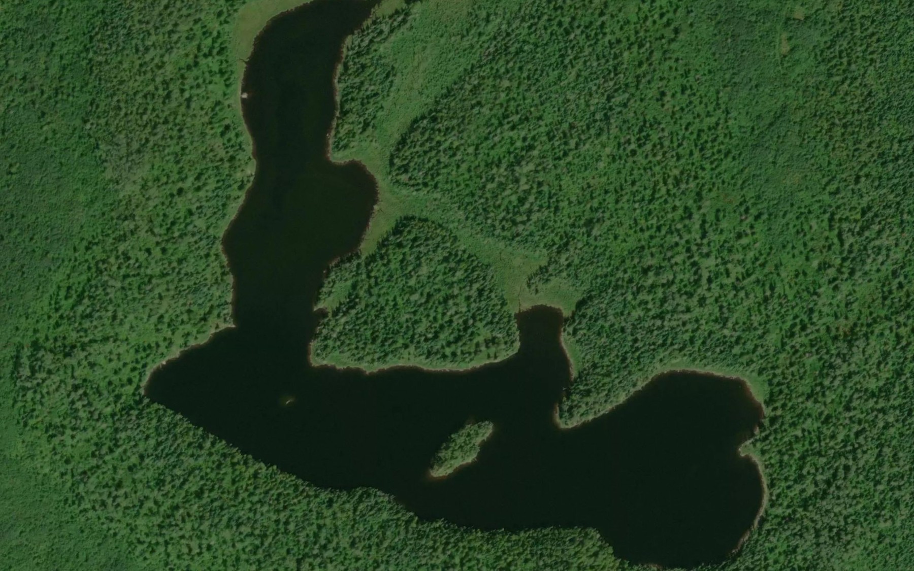 Satellite map of the Towsley Lake