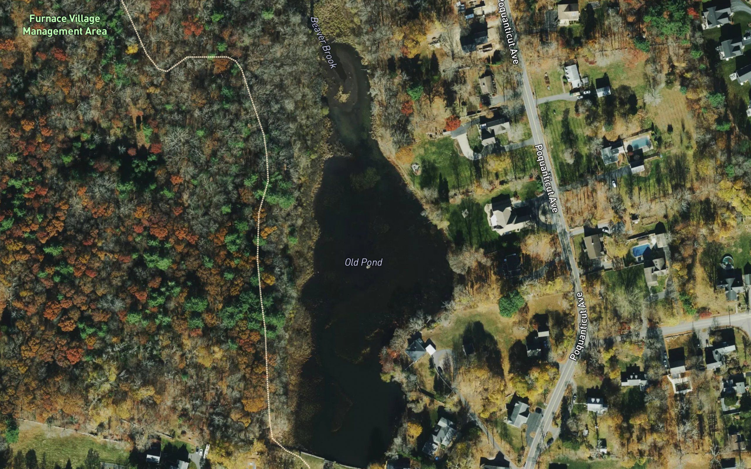 Old Pond