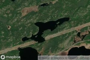 Roy Lake