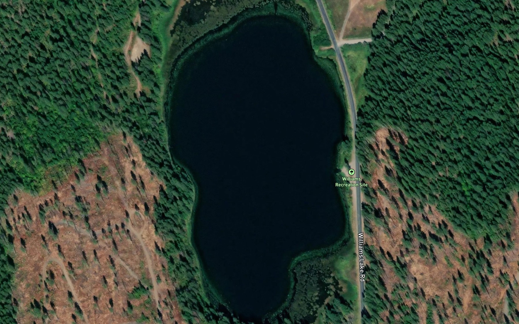 Satellite map of the Williams Lake