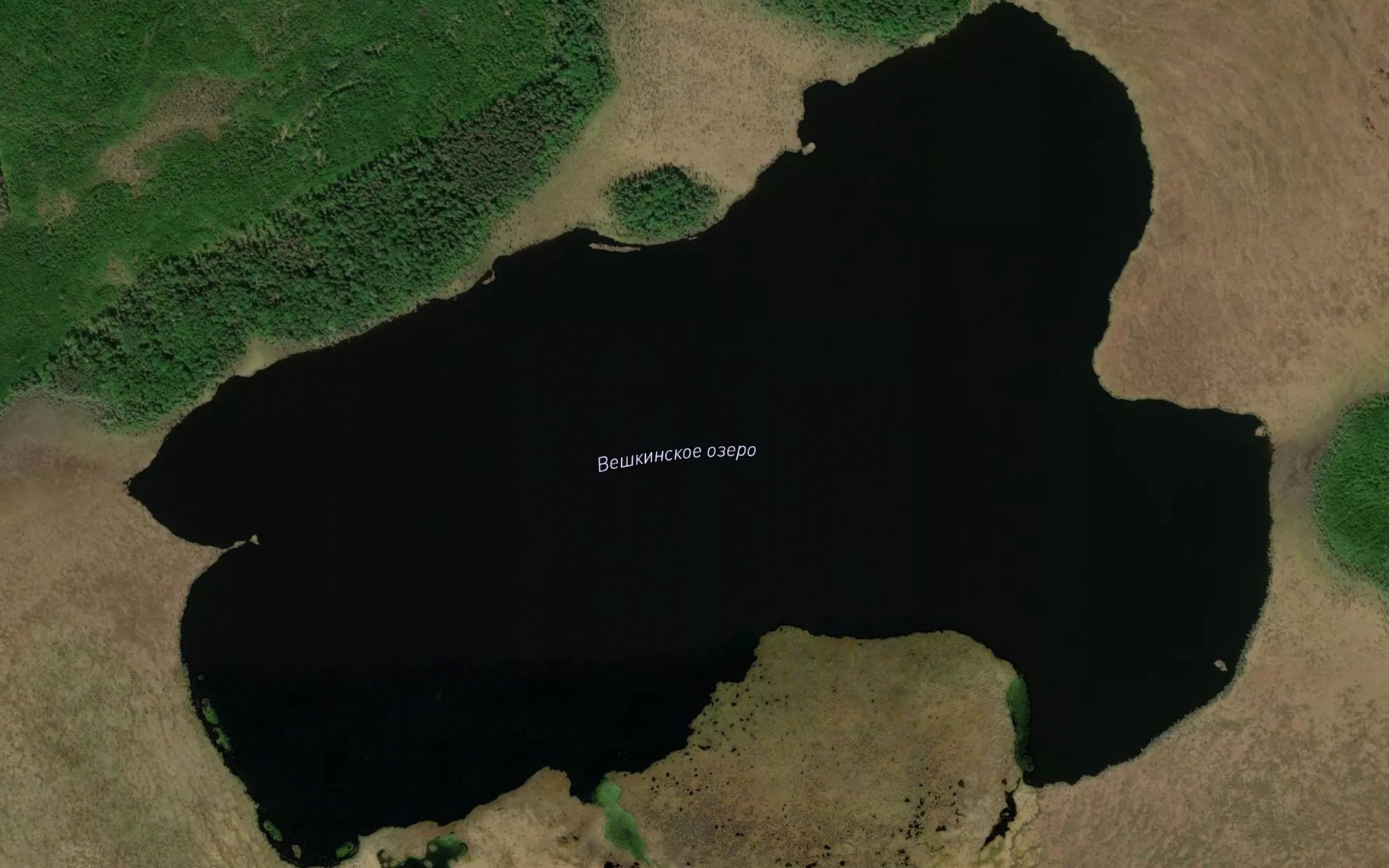 Satellite map of the Ozero Veshkinskoye