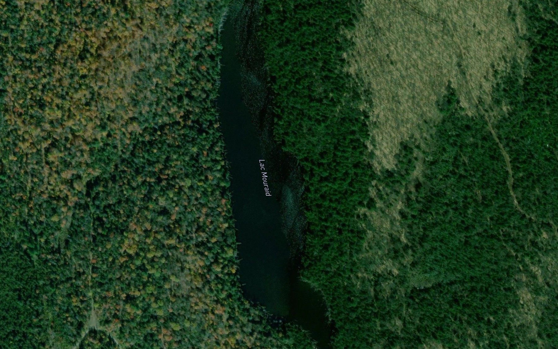 Satellite map of the Lac Mouraid