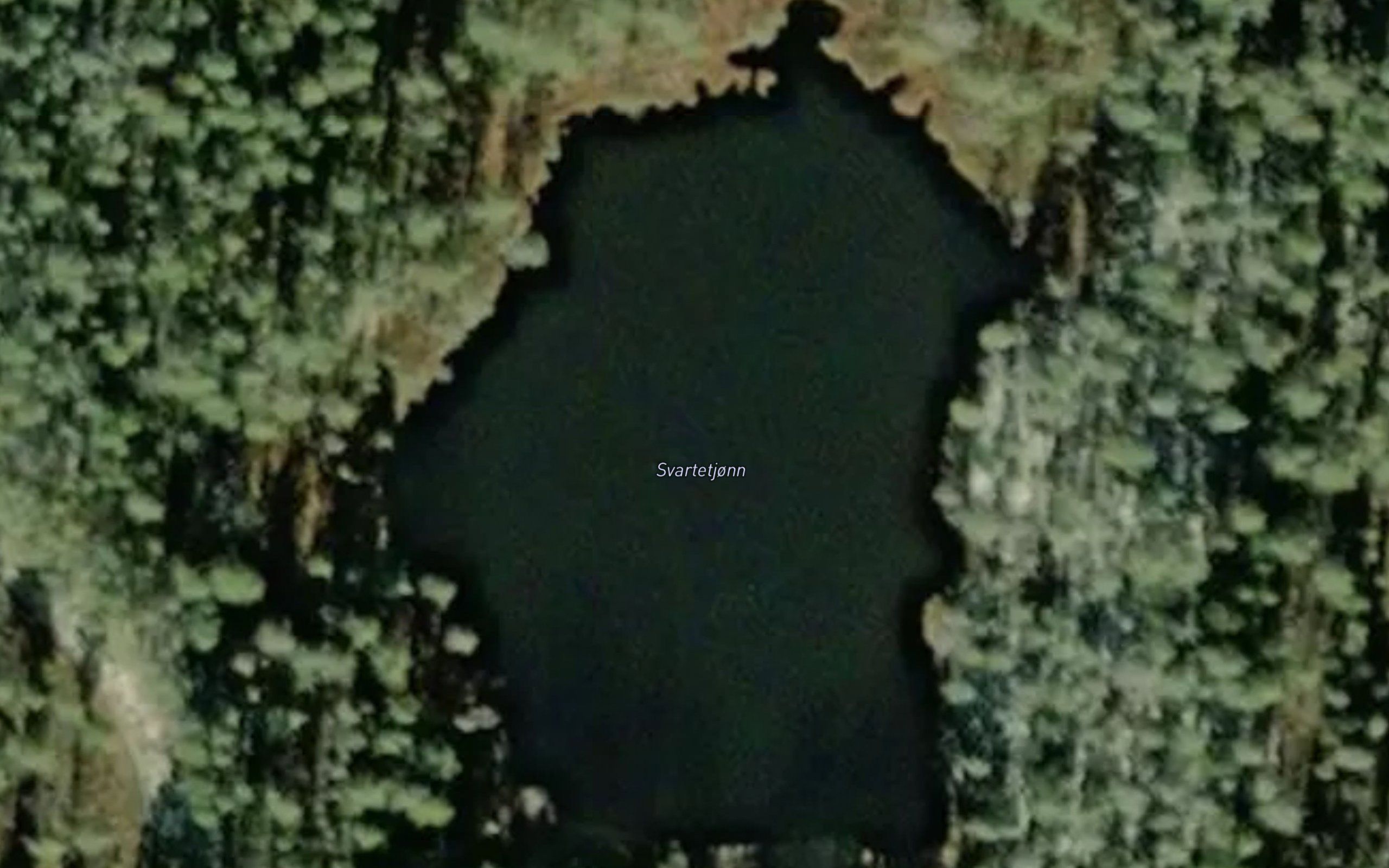 Svartetjorn