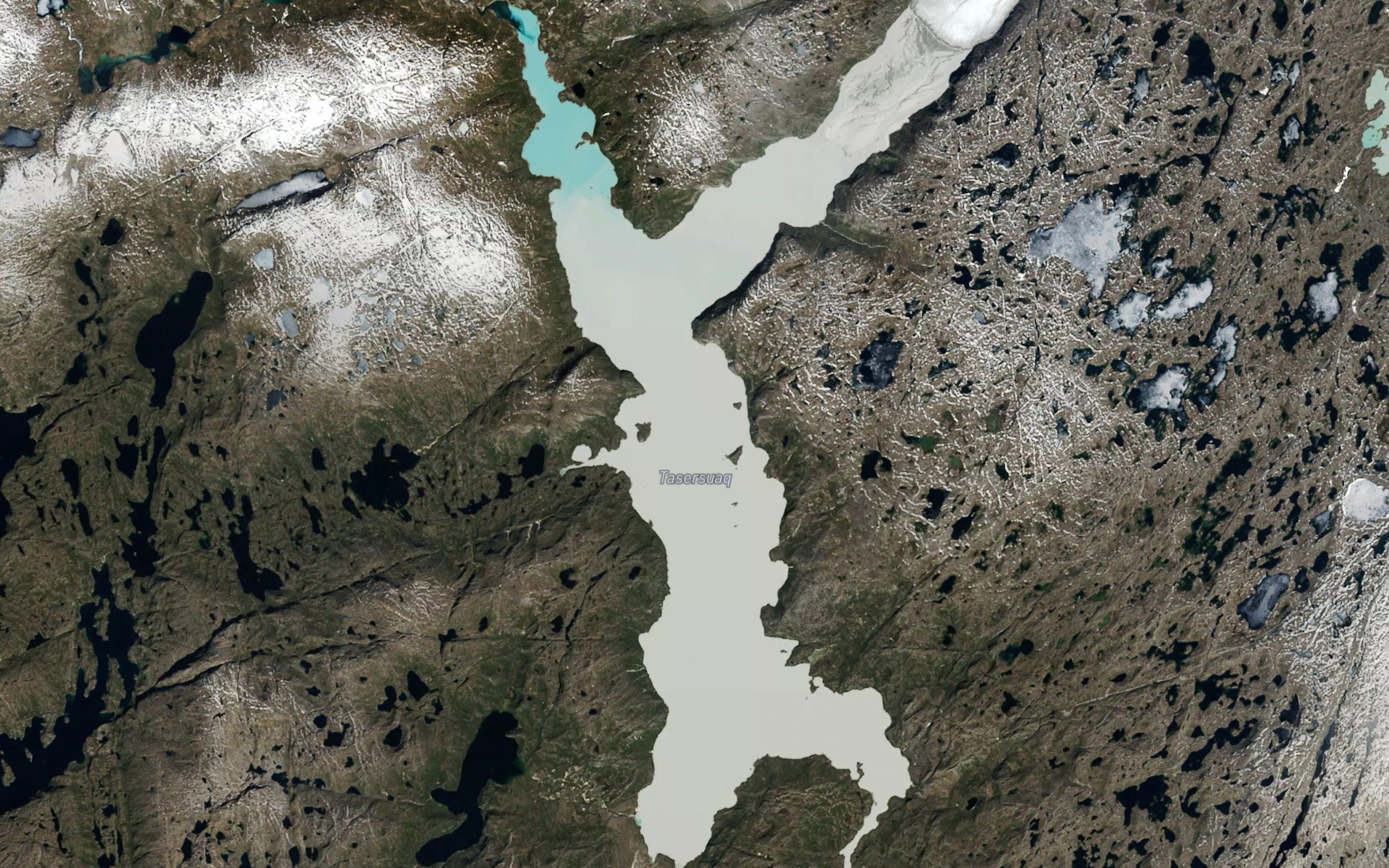 Tasersuaq