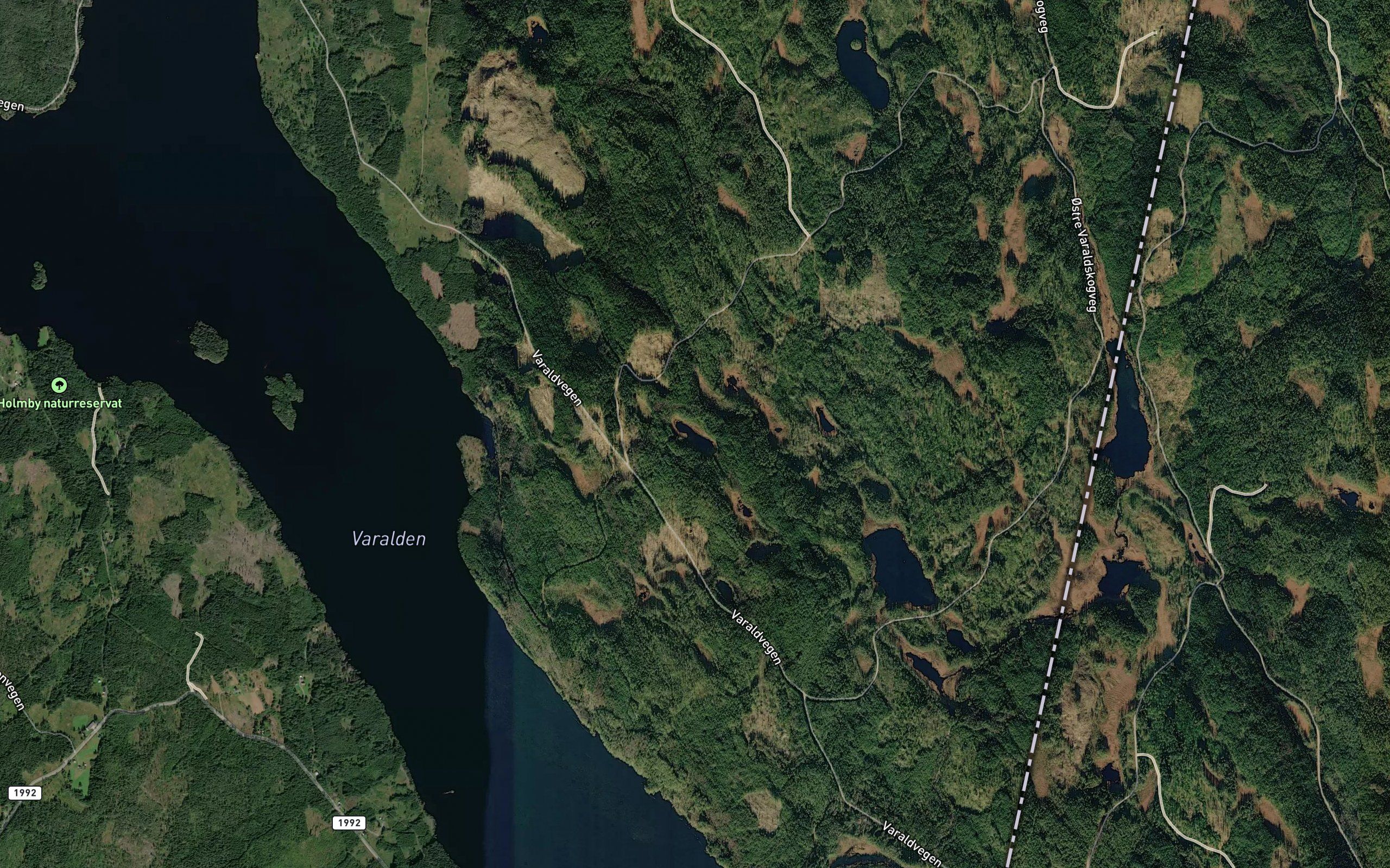 Kvakkolampi