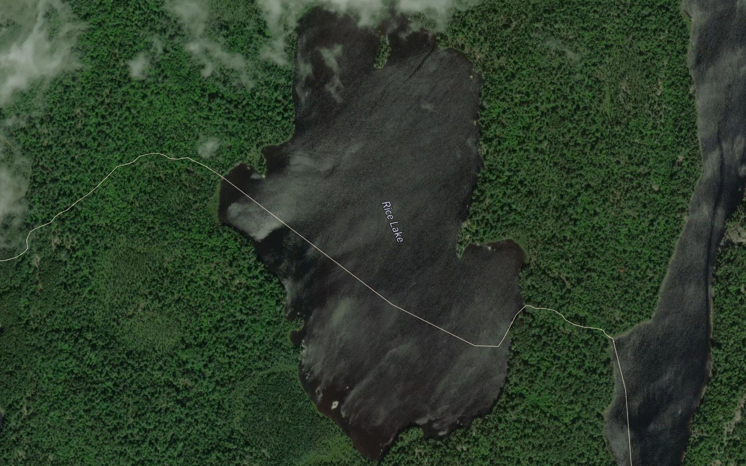 Rice Lake