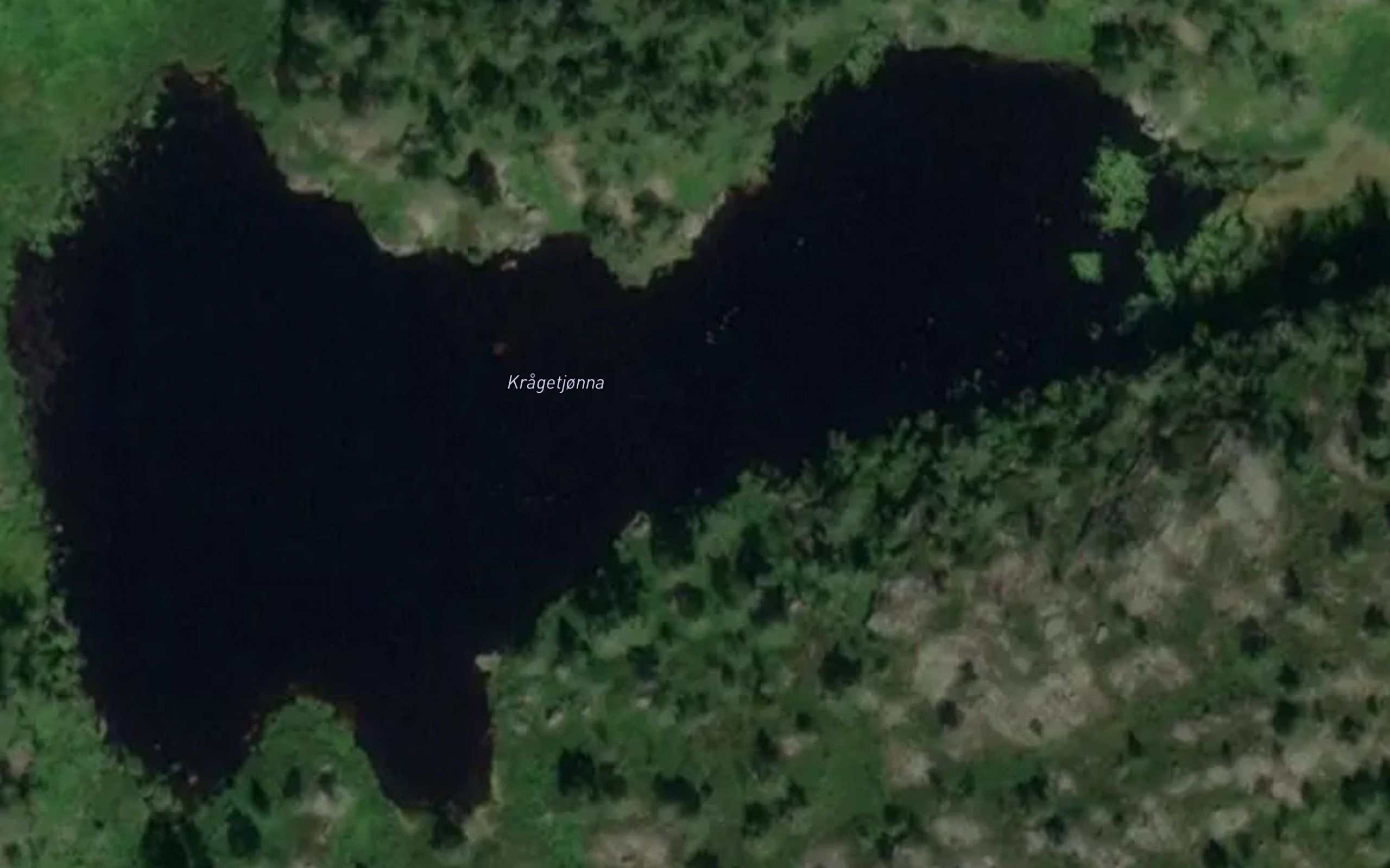 Kragetjonna