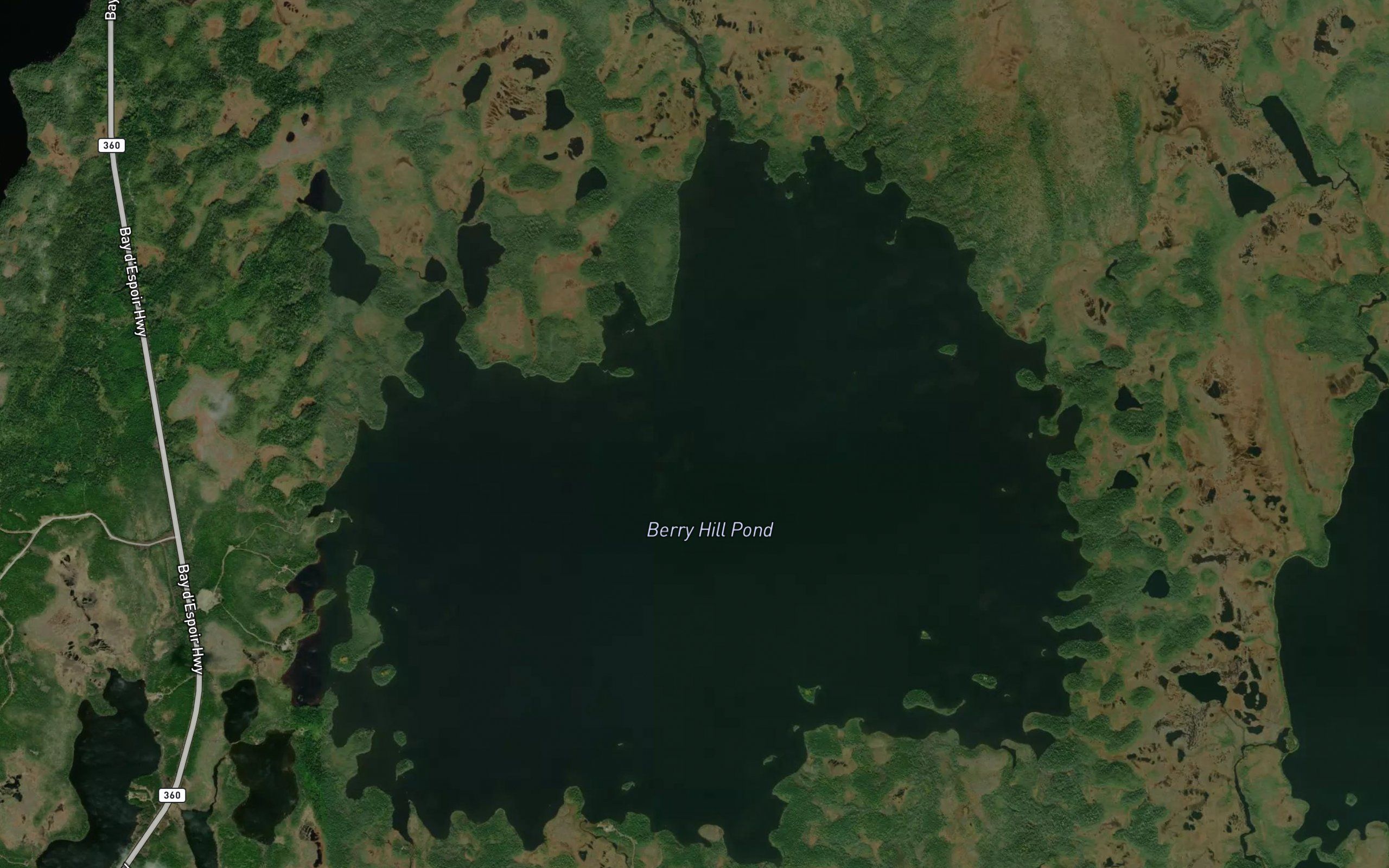 Berry Hill Pond